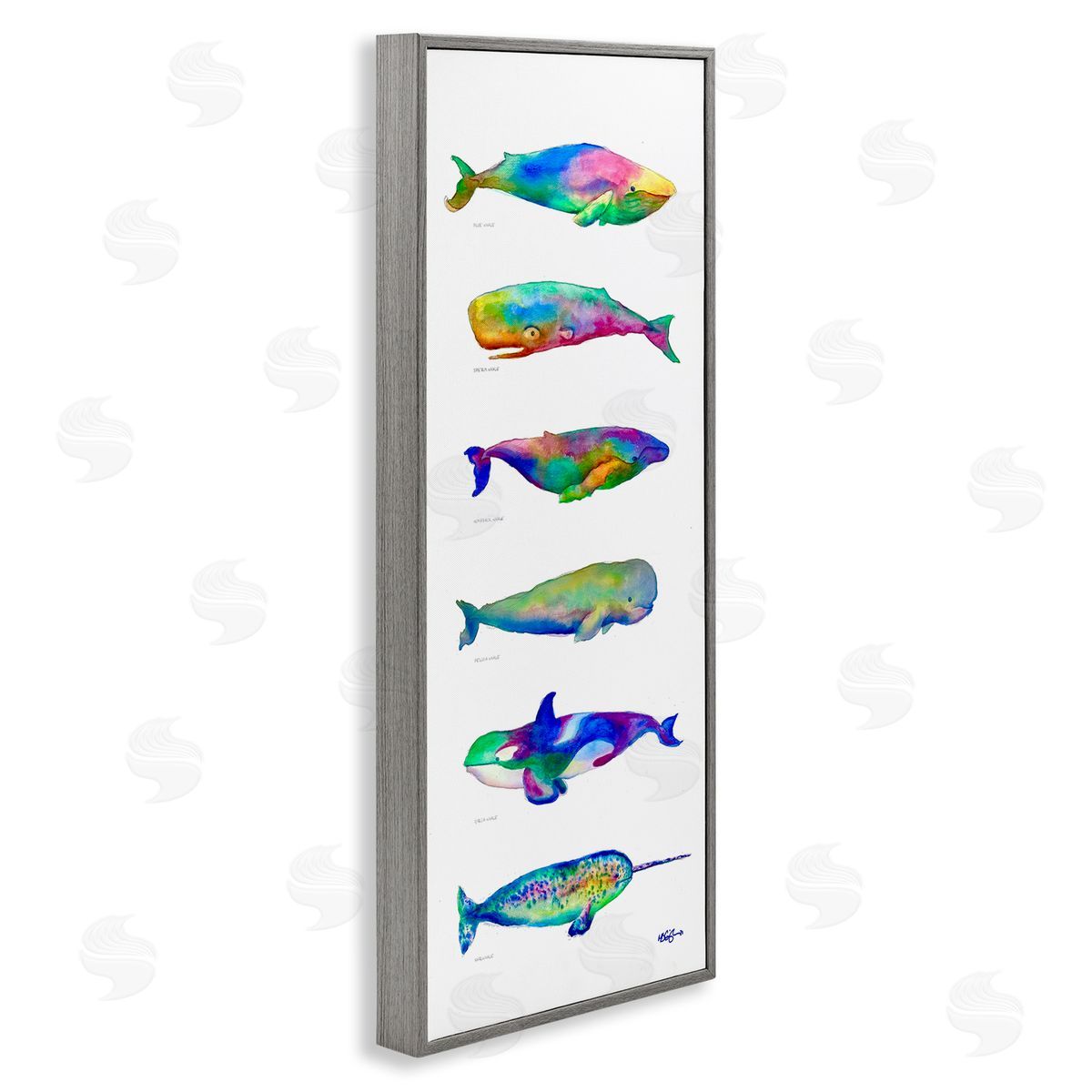 MB Cunningham Bold Kaleidoscopic Whale Narwhal Types Sea Life Chart
