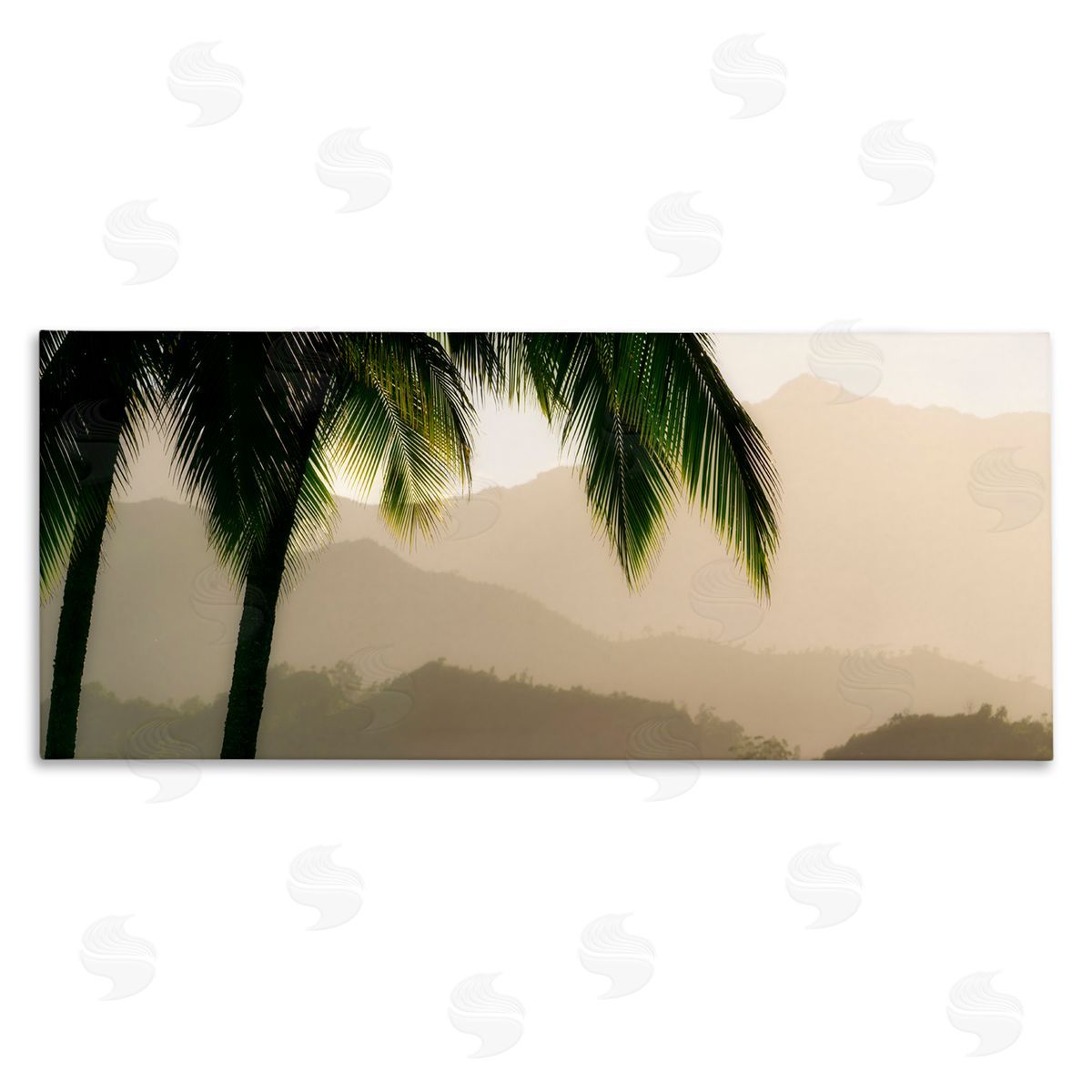 Dennis fr_sideates Tropical Palm Tree Overlooking Sunlit Mountain Valley