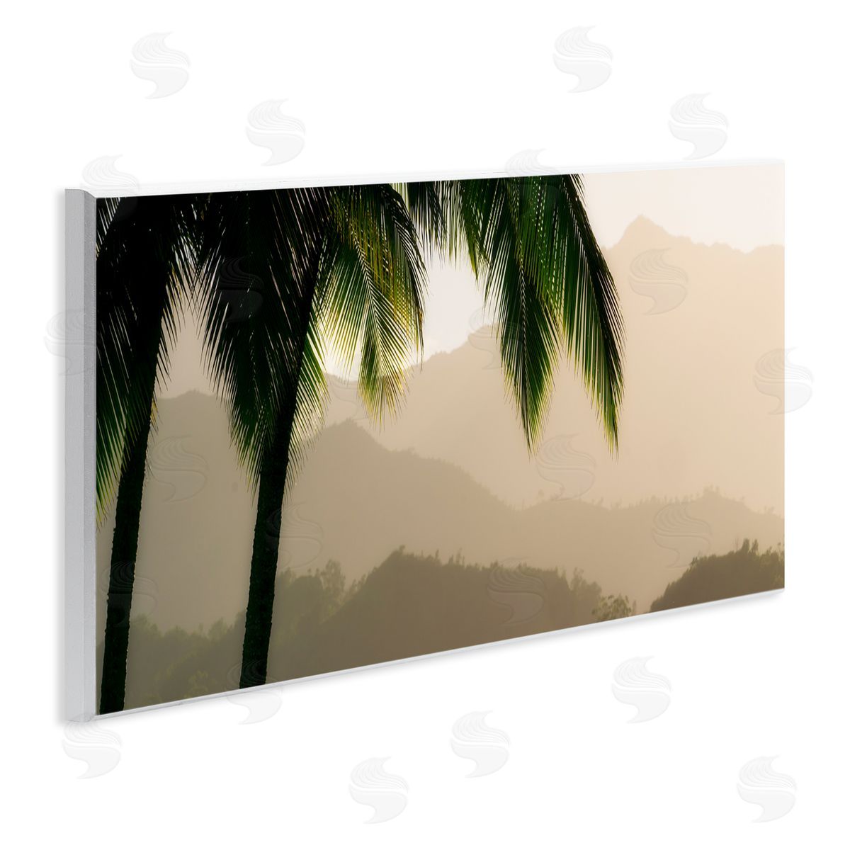 Dennis fr_sideates Tropical Palm Tree Overlooking Sunlit Mountain Valley