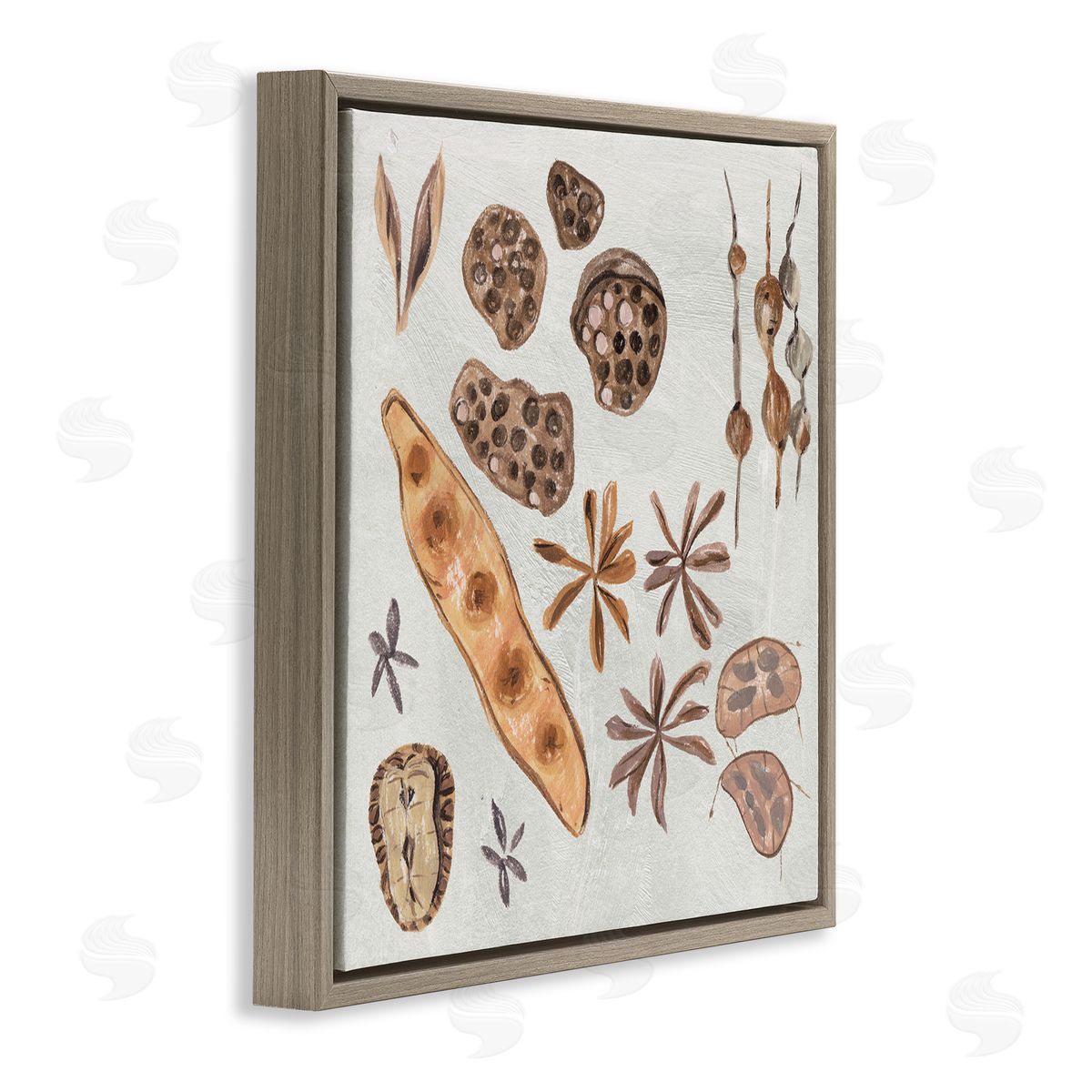 Melissa Wang Brown Seed Plant Botanicals Nature Diagram  Brown Floating Frame Canvas Wall Art Print