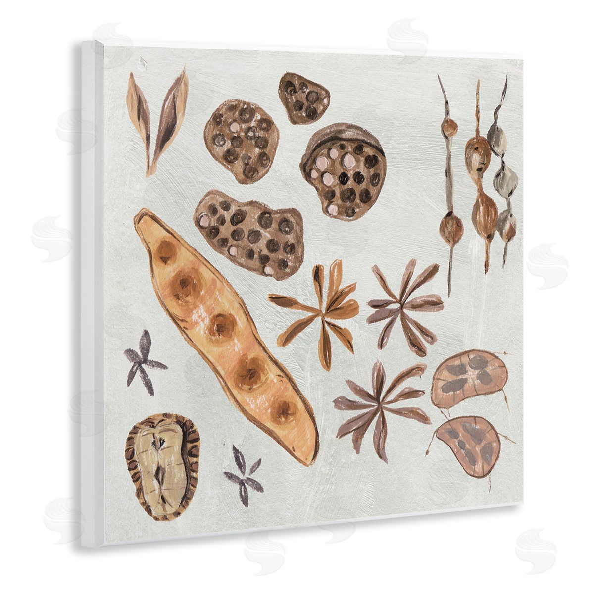 Melissa Wang Brown Seed Plant Botanicals Nature Diagram  Wooden Wall Plaque Art Print