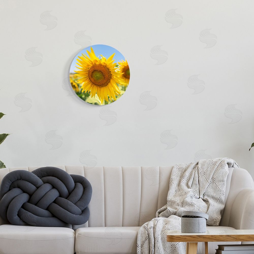 Richard Silver Sunflower Florals in Sunny Blue Farm Field Round Wall Plaque Art Print in Room