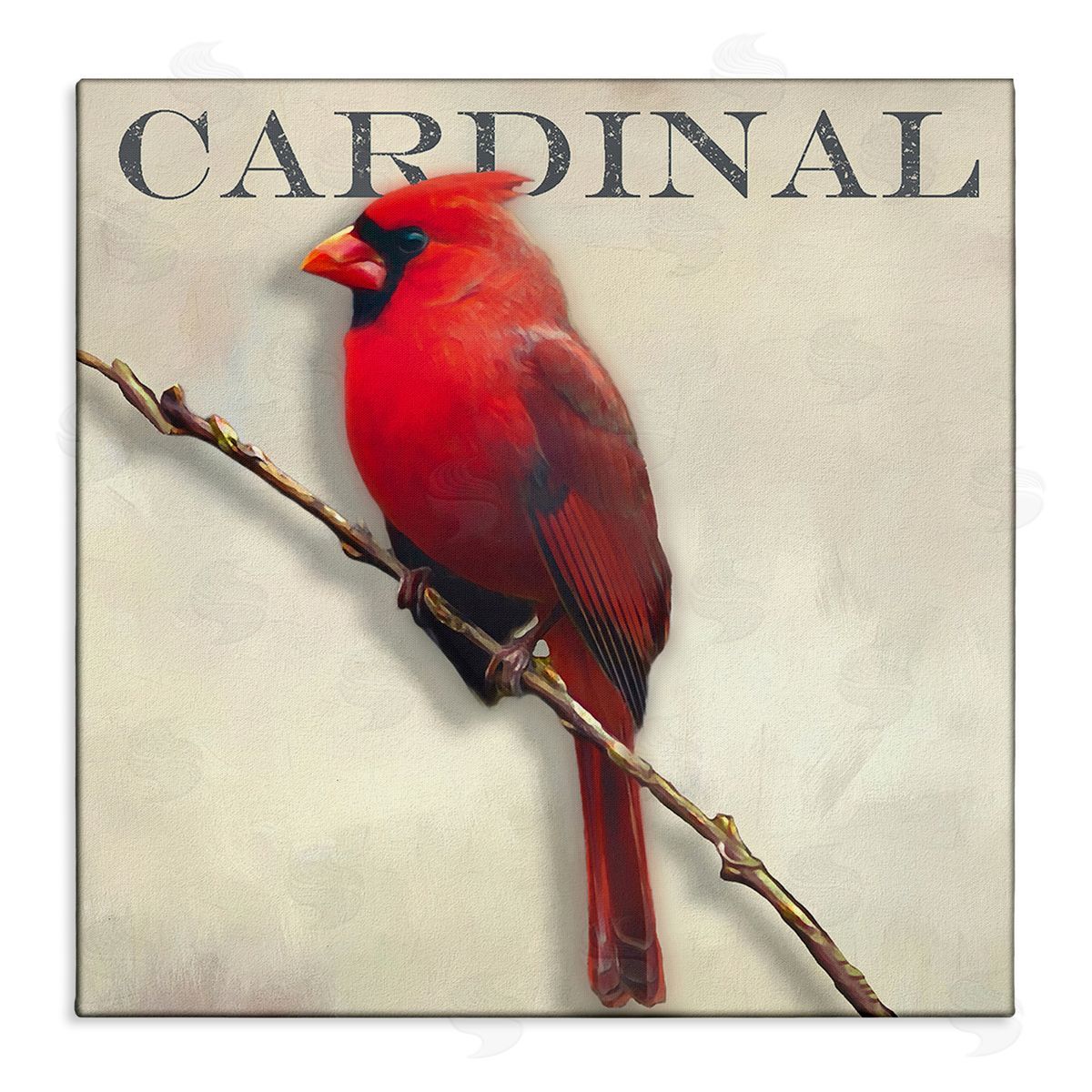 Alpenglow Workshop Bold Red Cardinal Bird Portrait Rustic Text Design Stretched Canvas Wall Art Print