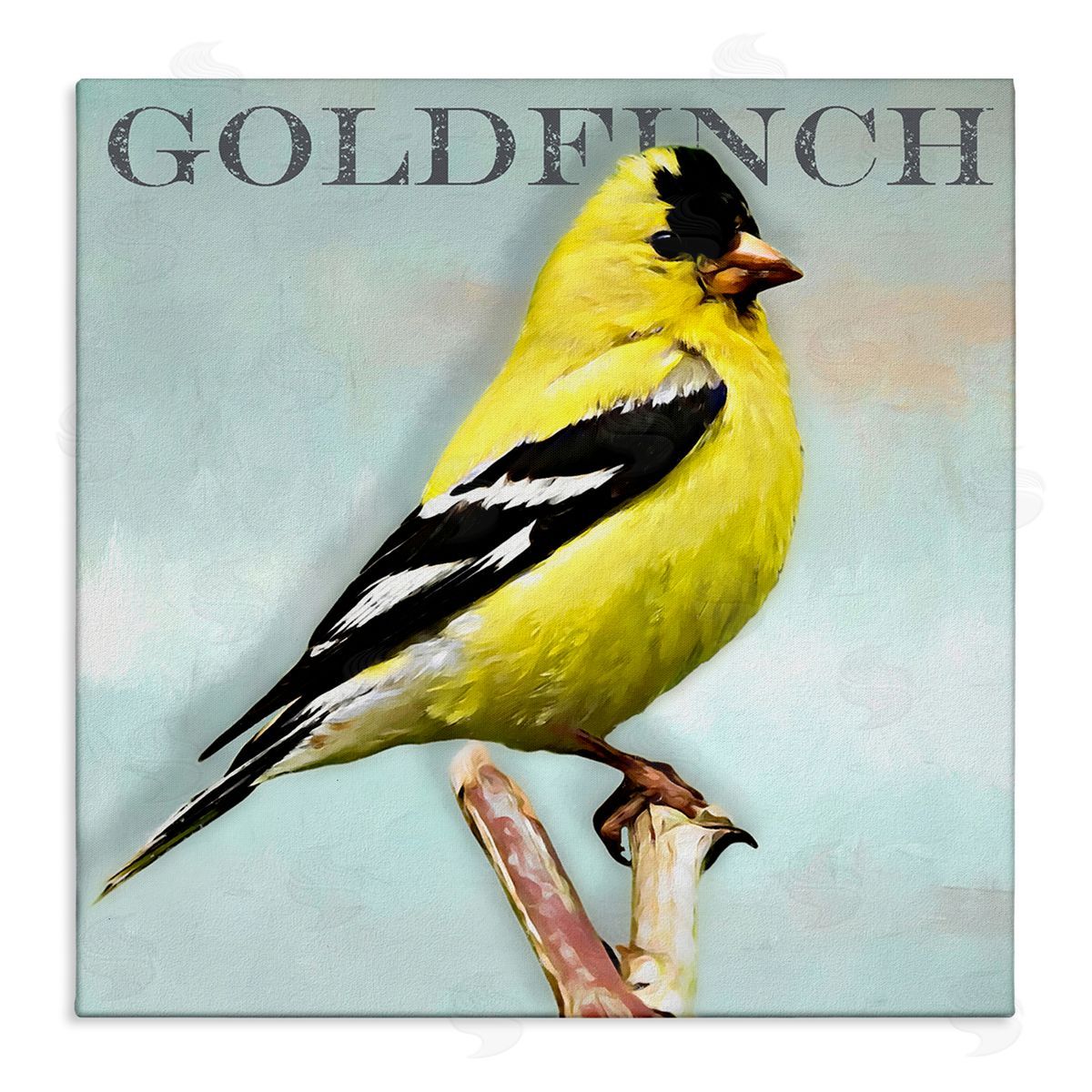 Alpenglow Workshop Yellow Goldfinch Bird Portrait Rustic Text Typography Stretched Canvas Wall Art Print