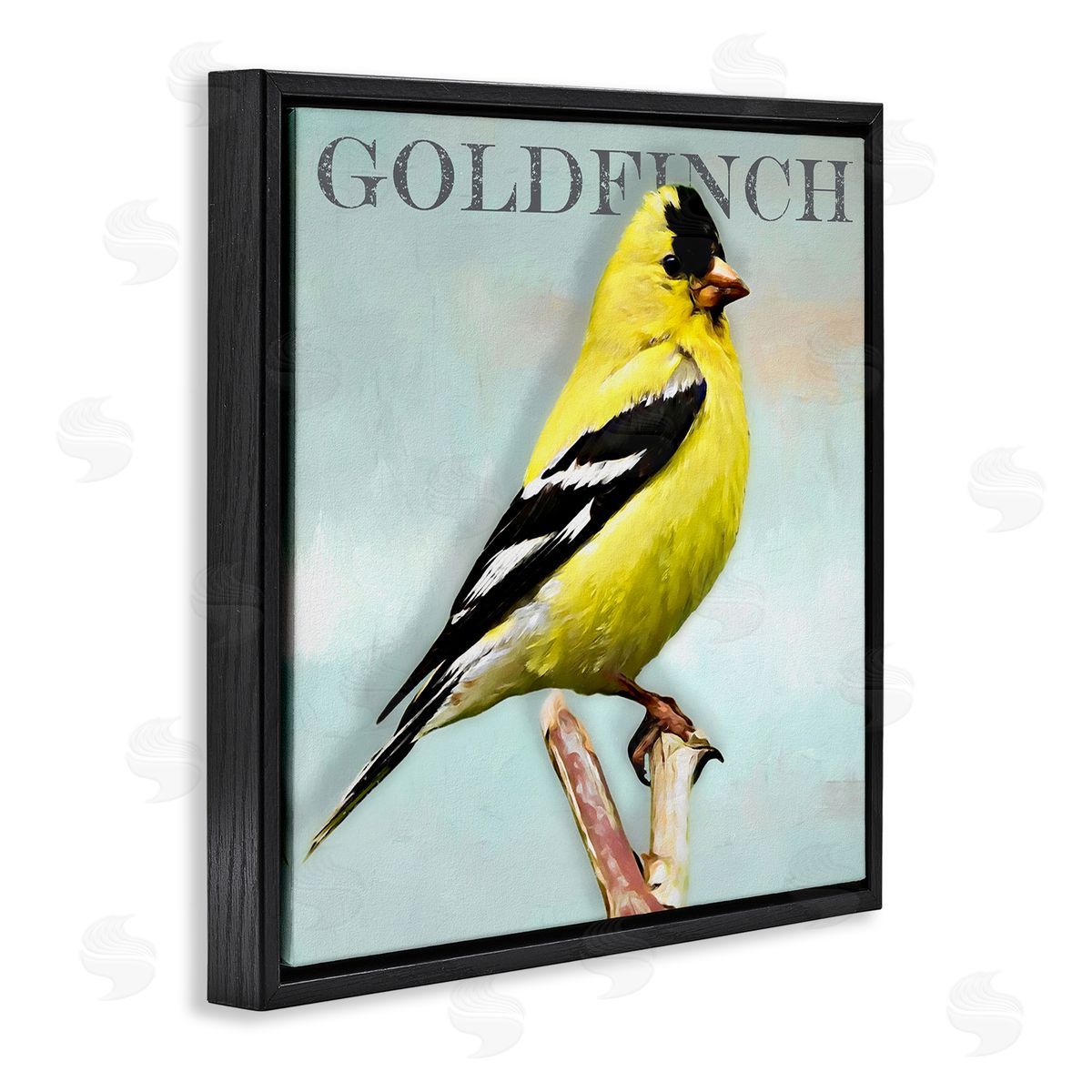Alpenglow Workshop Yellow Goldfinch Bird Portrait Rustic Text Typography Black Floating Frame Canvas Wall Art Print