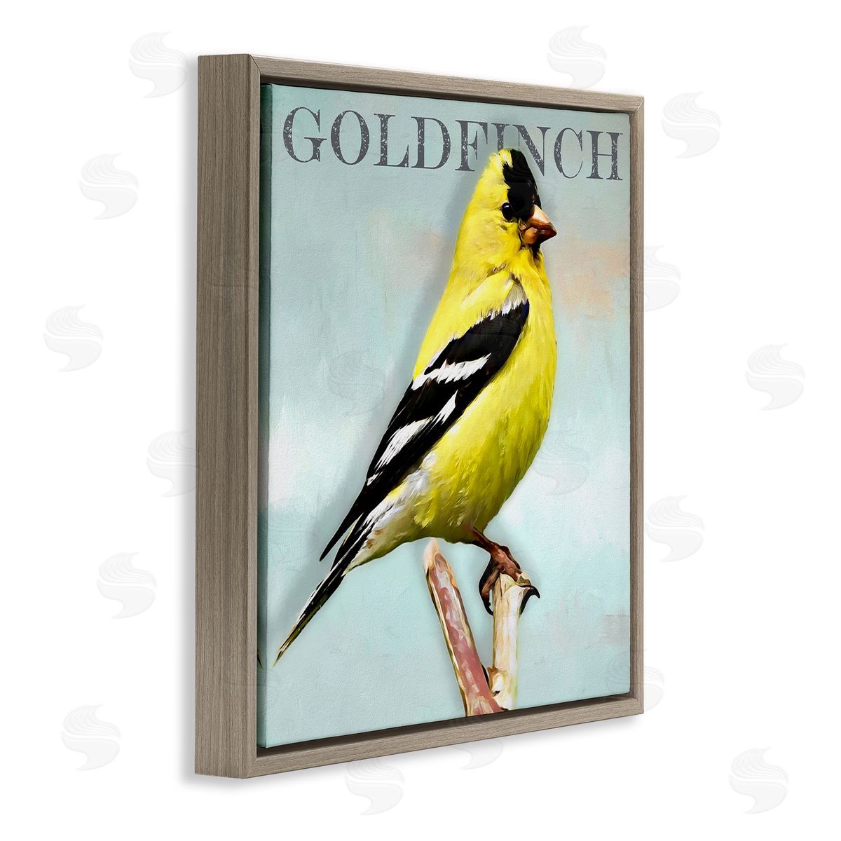 Alpenglow Workshop Yellow Goldfinch Bird Portrait Rustic Text Typography Brown Floating Frame Canvas Wall Art Print