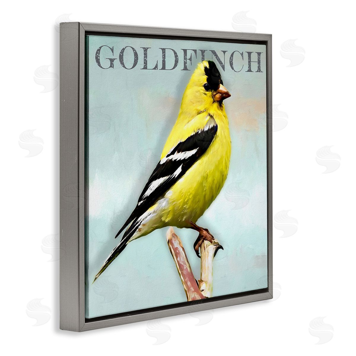 Alpenglow Workshop Yellow Goldfinch Bird Portrait Rustic Text Typography Gray Floating Frame Canvas Wall Art Print