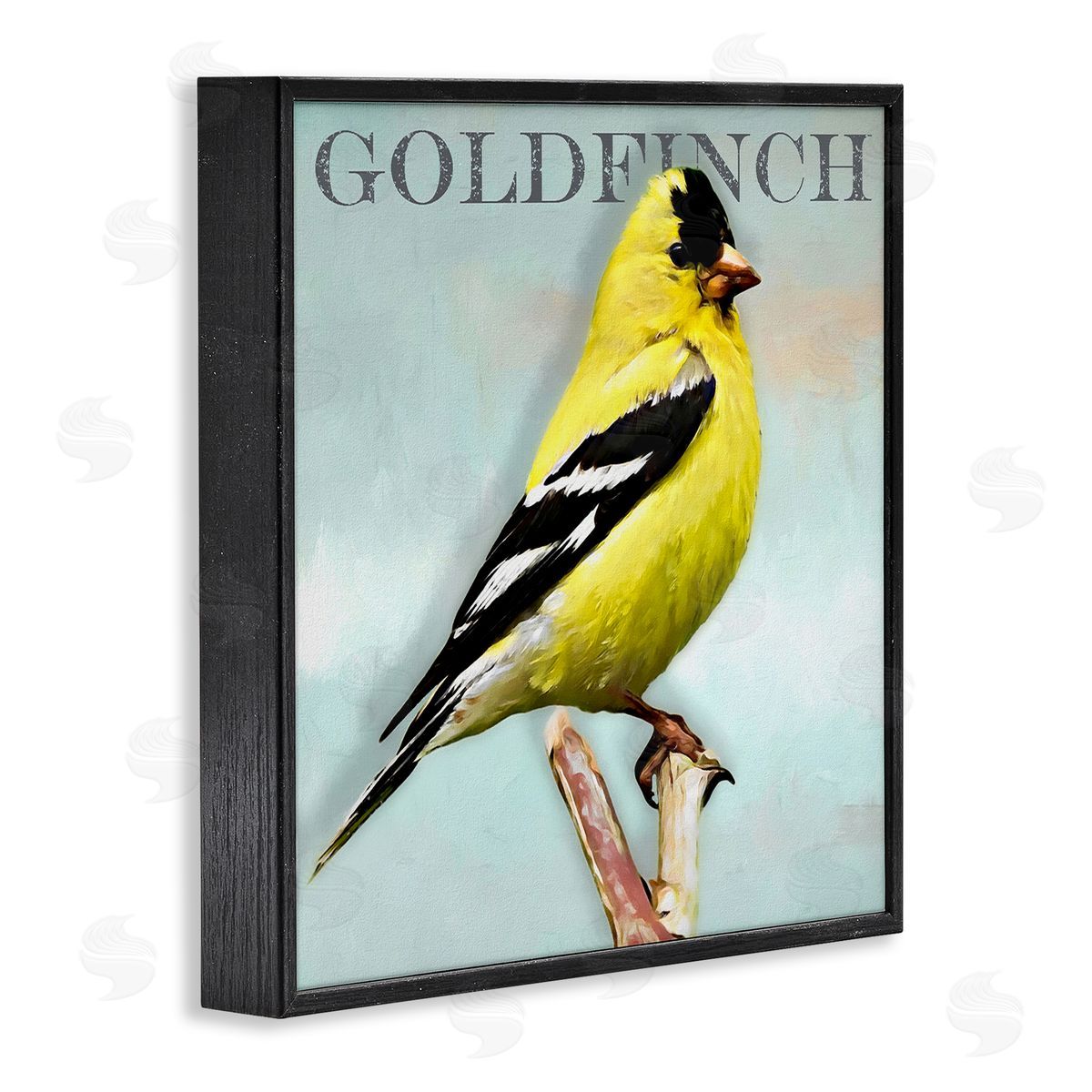 Alpenglow Workshop Yellow Goldfinch Bird Portrait Rustic Text Typography Black Framed Glicee Wall Art Print
