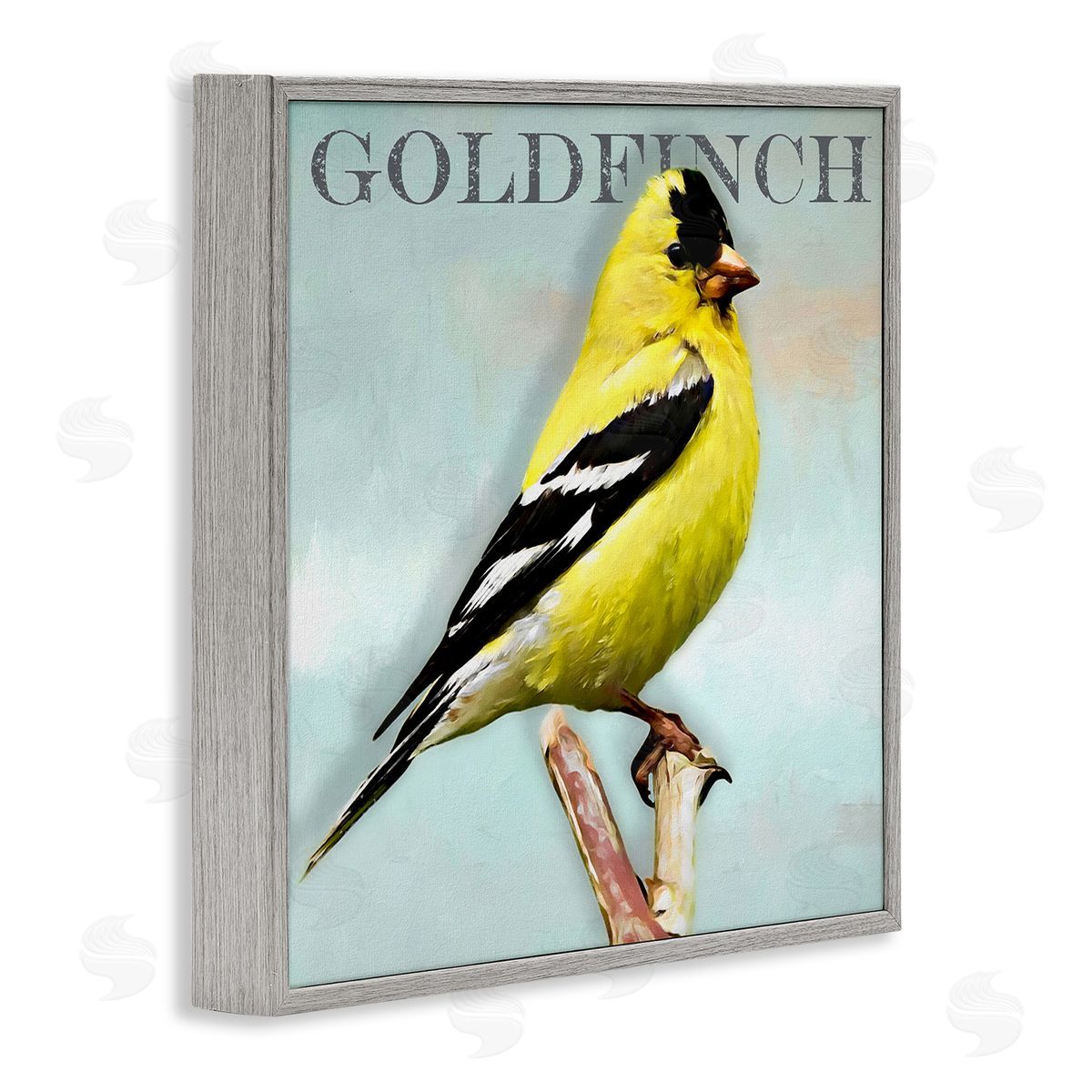 Alpenglow Workshop Yellow Goldfinch Bird Portrait Rustic Text Typography Gray Framed Glicee Wall Art Print