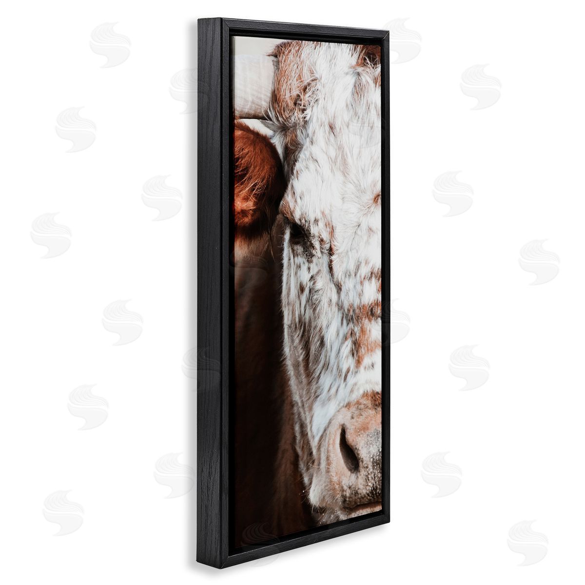 White Ladder Closeup Spotted Cow Cattle Detailed Farm Photography