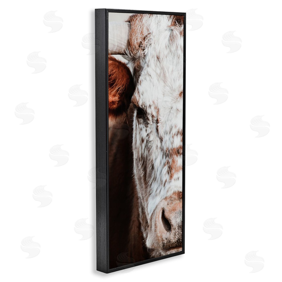 White Ladder Closeup Spotted Cow Cattle Detailed Farm Photography