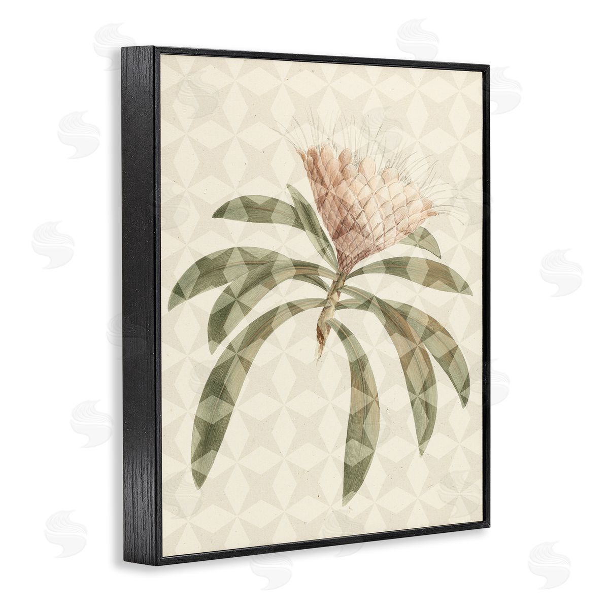 Stupell Studio Natural Geometric Patterned Plant Green Leaves Blossom  Black Framed Giclee Wall Art Print