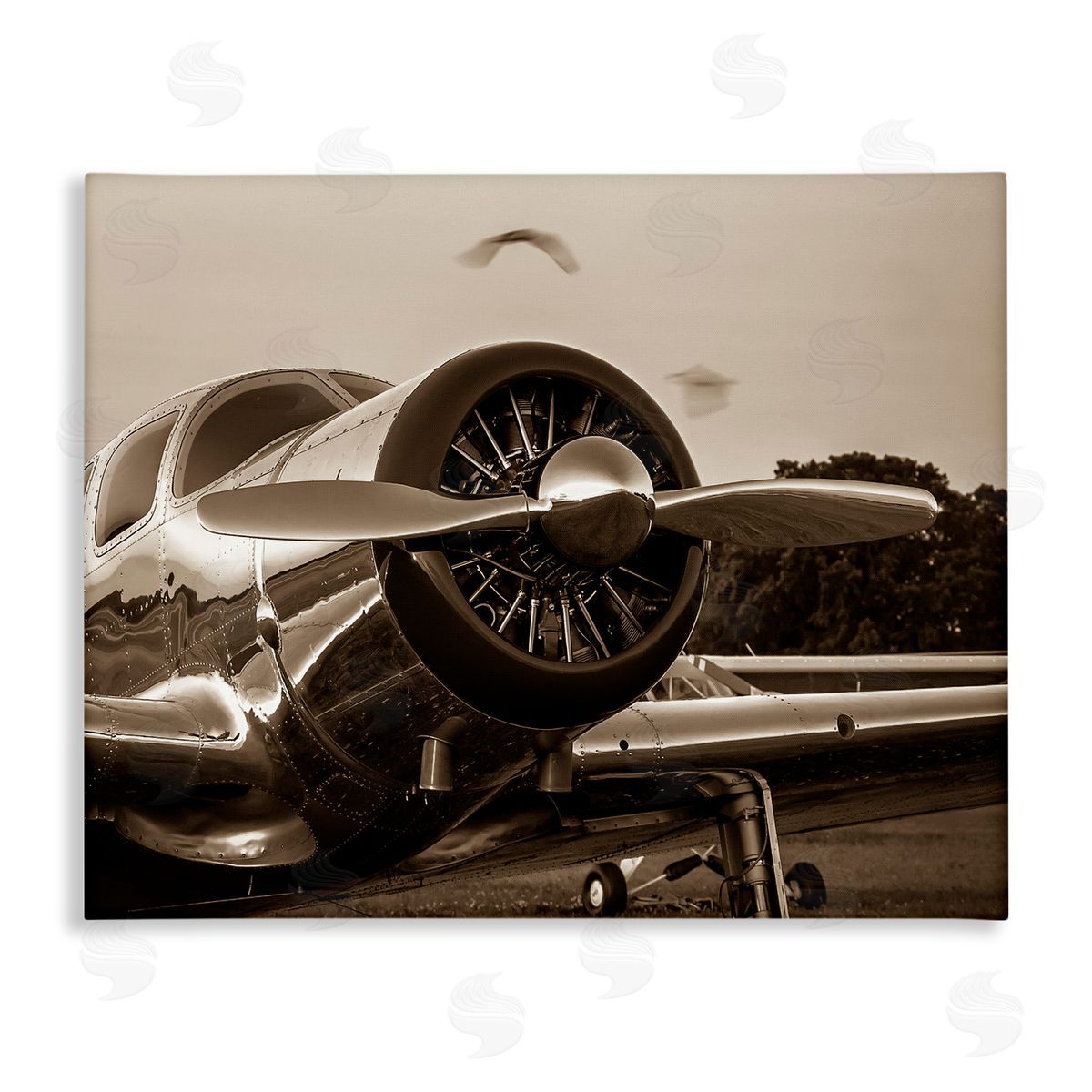 John Slemp Antique Airplane Aircraft Propeller Photography Landscape  Stretched Canvas Wall Art Print