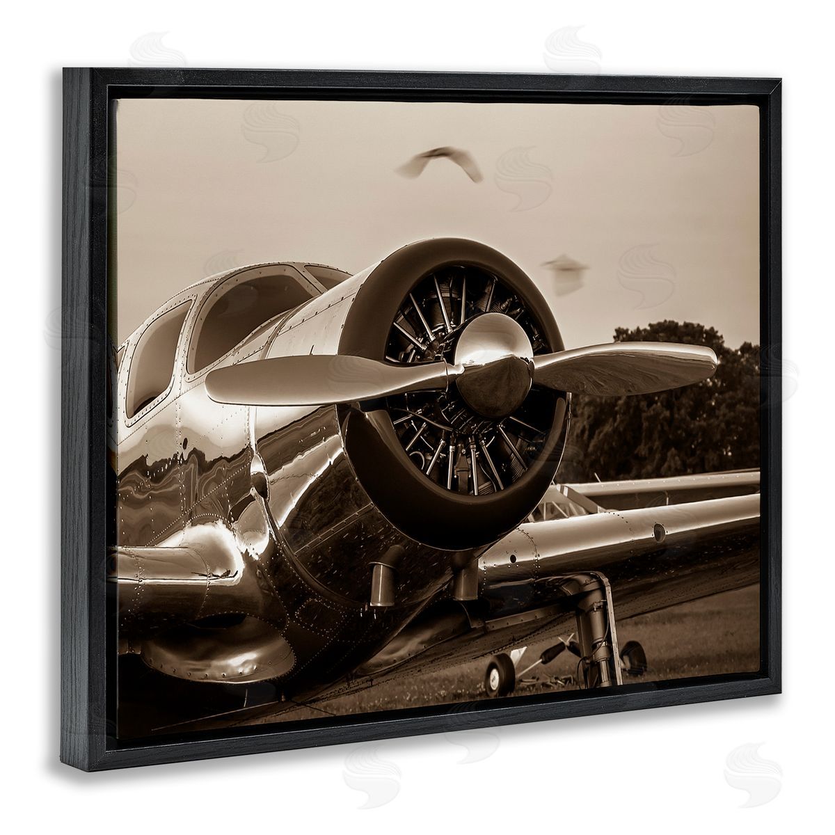 John Slemp Antique Airplane Aircraft Propeller Photography Landscape  Black Floating Frame Canvas Wall Art Print