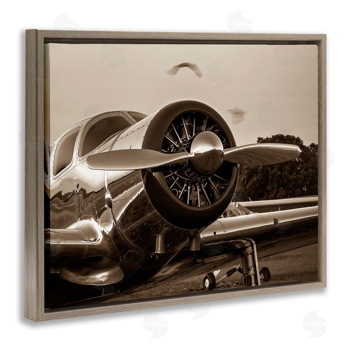 John Slemp Antique Airplane Aircraft Propeller Photography Landscape  Brown Floating Frame Canvas Wall Art Print