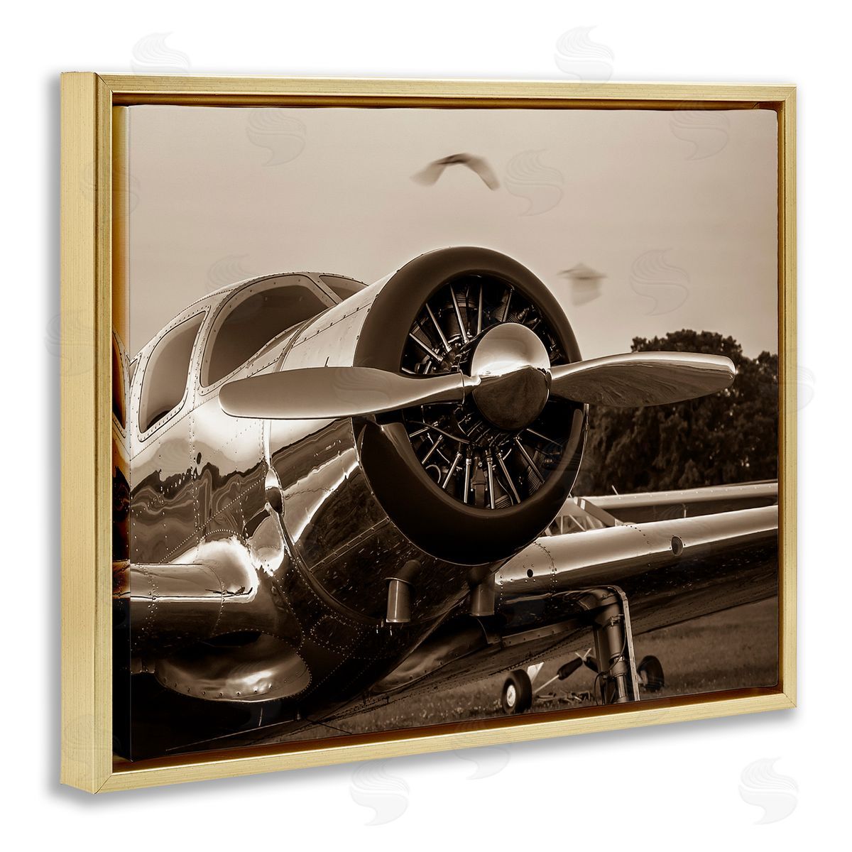 John Slemp Antique Airplane Aircraft Propeller Photography Landscape  Gold Floating Frame Canvas Wall Art Print