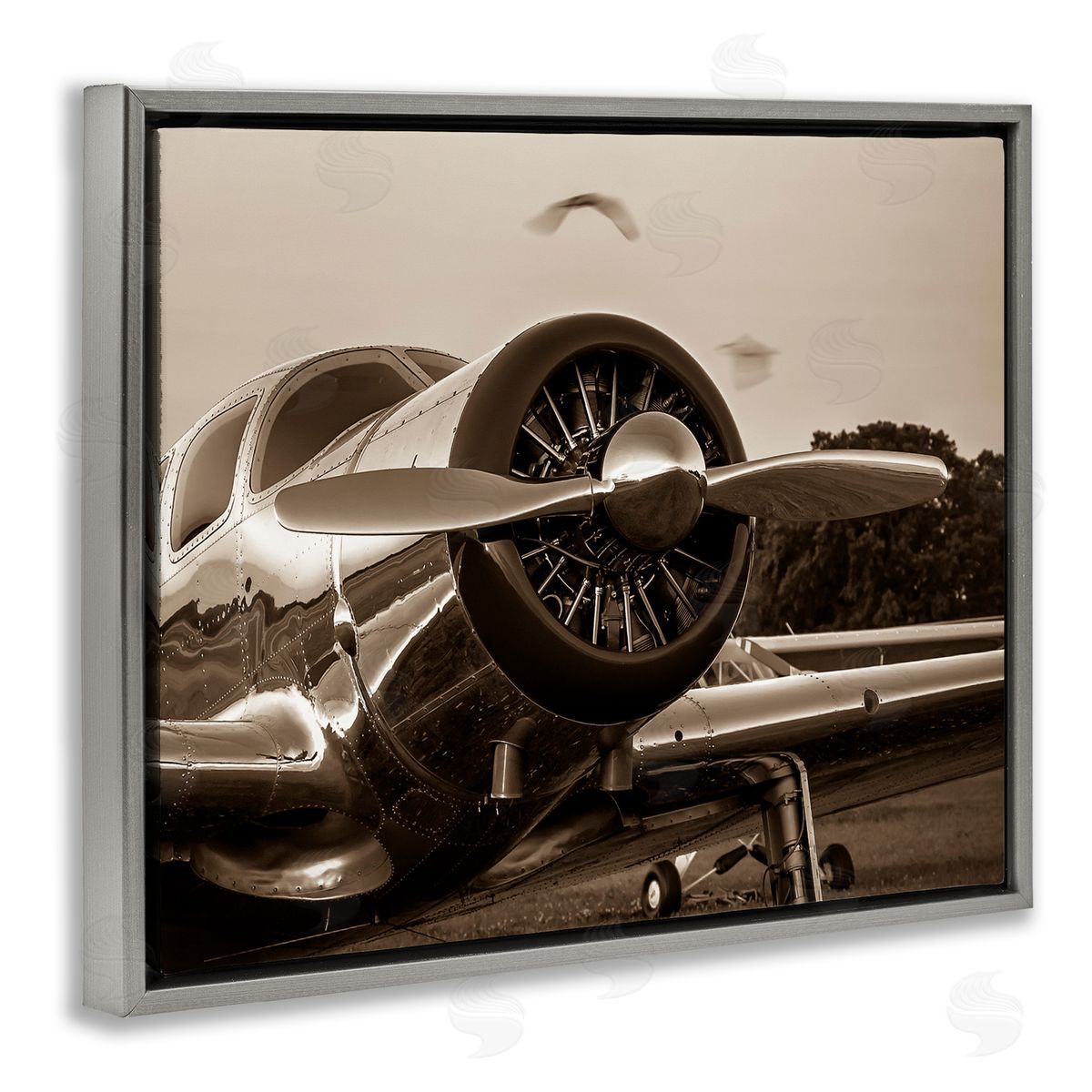 John Slemp Antique Airplane Aircraft Propeller Photography Landscape  Gray Floating Frame Canvas Wall Art Print