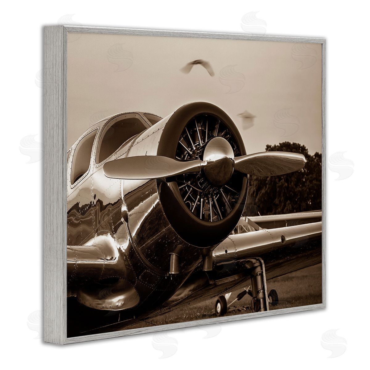 John Slemp Antique Airplane Aircraft Propeller Photography Landscape  Gray Framed Giclee Wall Art Print