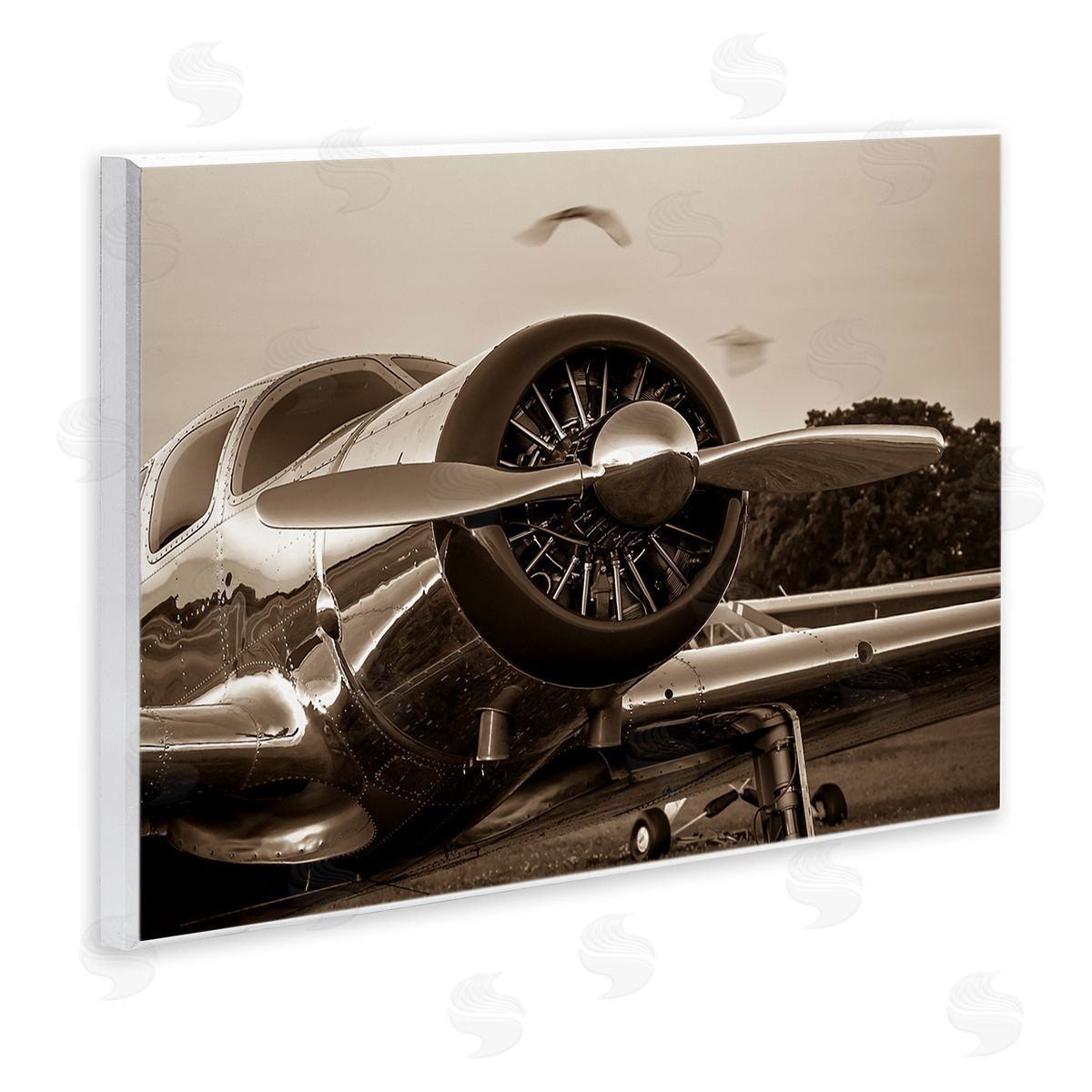 John Slemp Antique Airplane Aircraft Propeller Photography Landscape  Wall Plaque Art Print