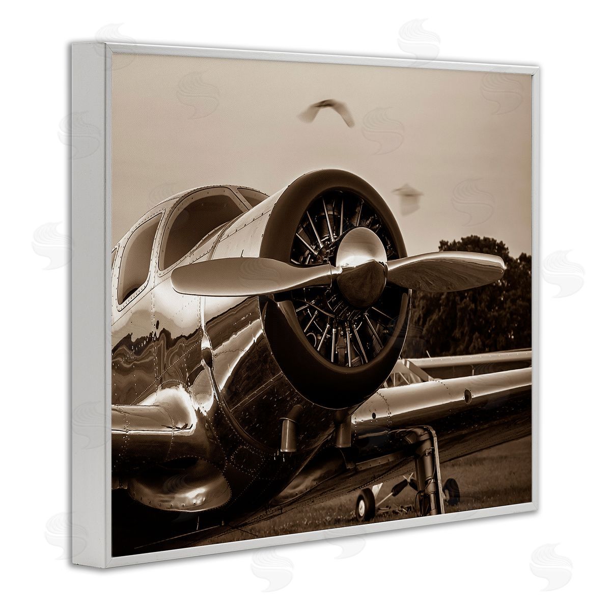 John Slemp Antique Airplane Aircraft Propeller Photography Landscape  White Framed Giclee Wall Art Print