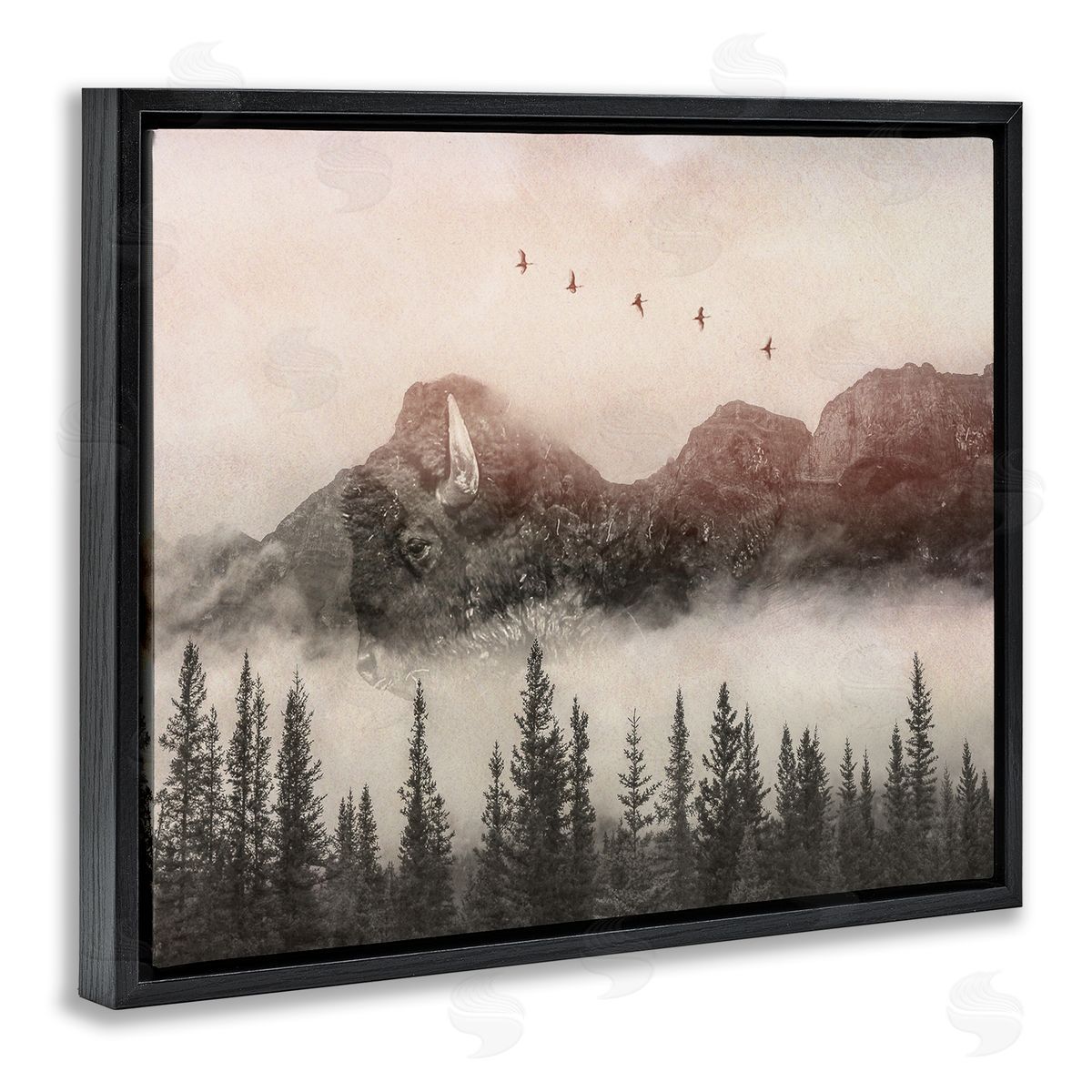 Daniel Sproul Foggy Weather Mountain Landscape Birds Pine Trees  Black Floating Frame Canvas Wall Art Print