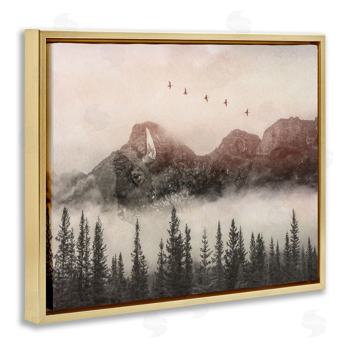 Daniel Sproul Foggy Weather Mountain Landscape Birds Pine Trees  Gold Floating Frame Canvas Wall Art Print