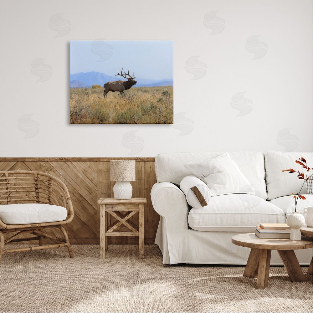 Daniel Sproul Elk Grazing Pasture Grassland Blue Distant Mountains  Canvas Wall Art Print in Room