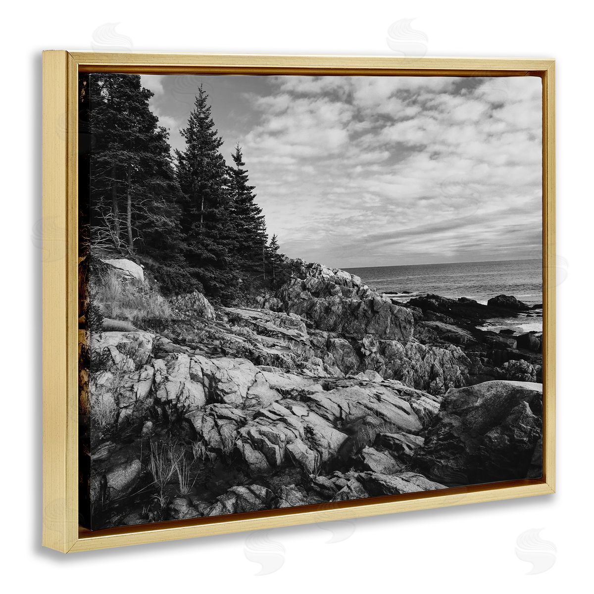 Daniel Sproul Rocky Ocean Water Cloudy Coast Monochrome Nature  Gold Floating Frame Canvas Wall Art Print