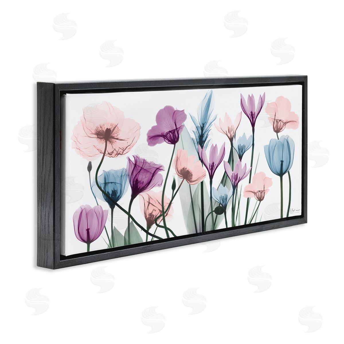 Modern Translucent Pastel Tulips Black Floating Frame Canvas Wall Art, Home Decor by Albert Koetsier