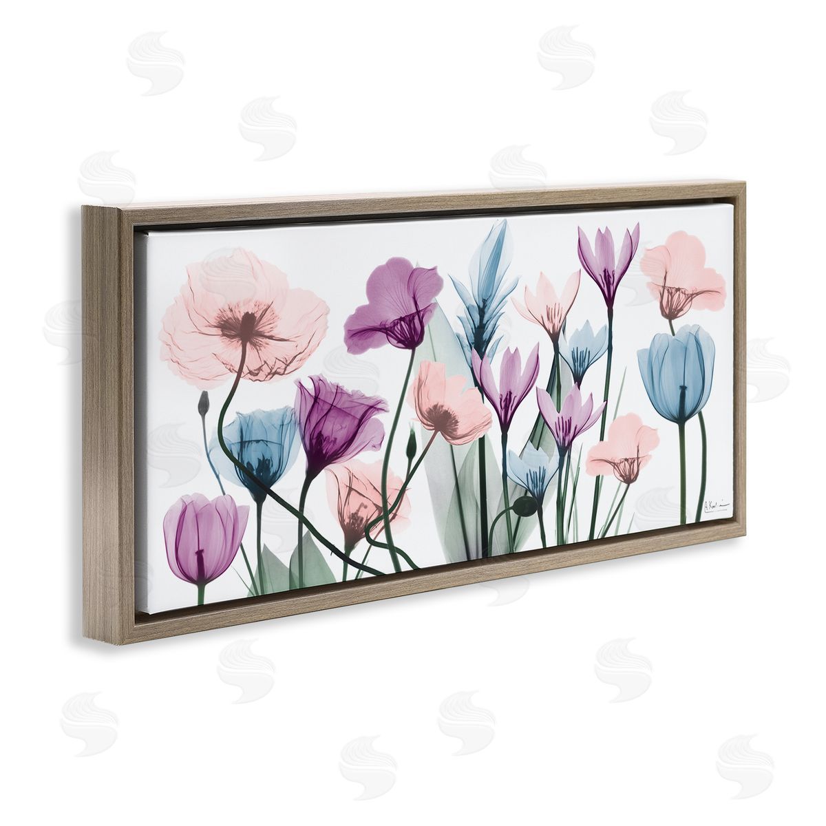 Modern Translucent Pastel Tulips Brown Floating Frame Canvas Wall Art, Home Decor by Albert Koetsier