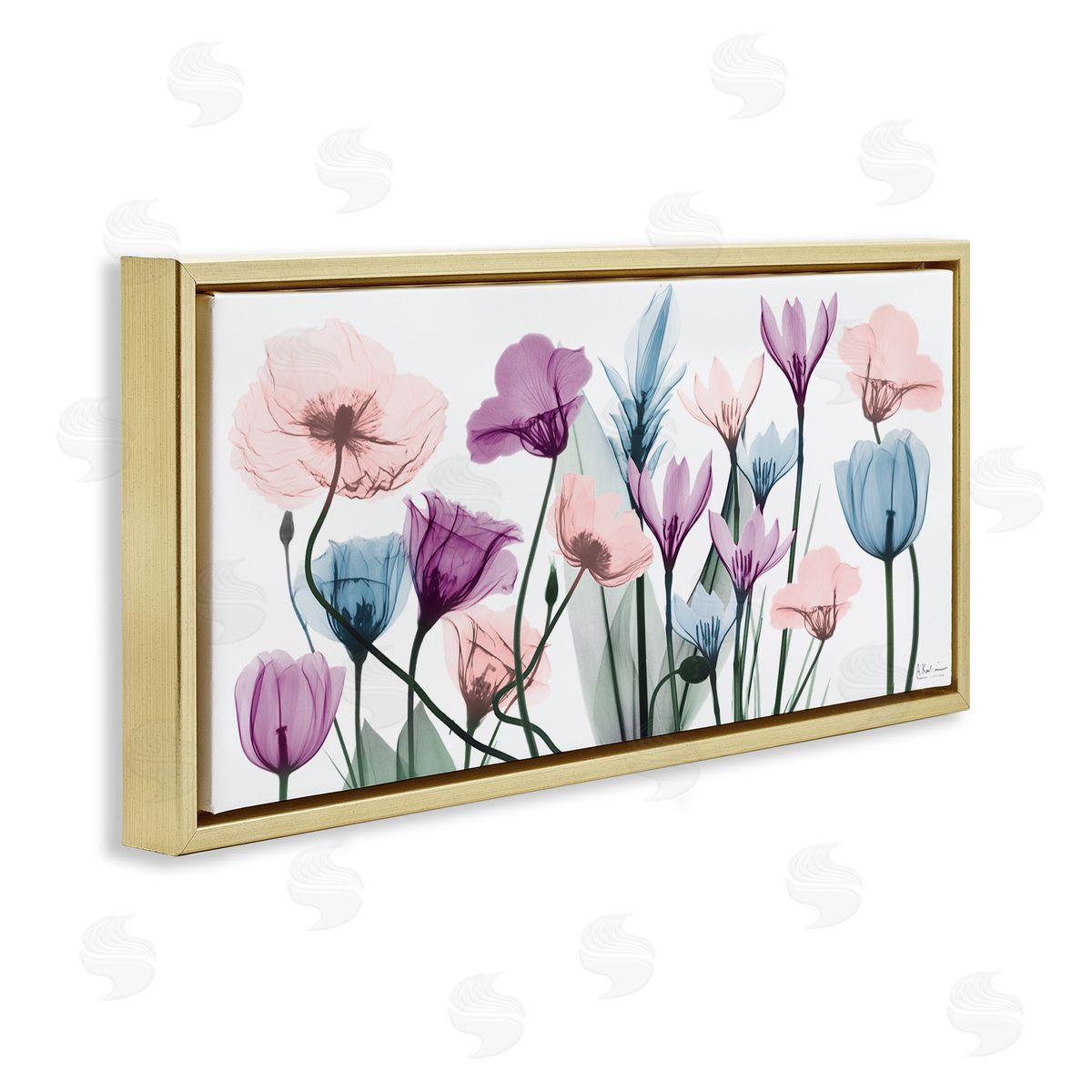Modern Translucent Pastel Tulips Gold Floating Frame Canvas Wall Art, Home Decor by Albert Koetsier