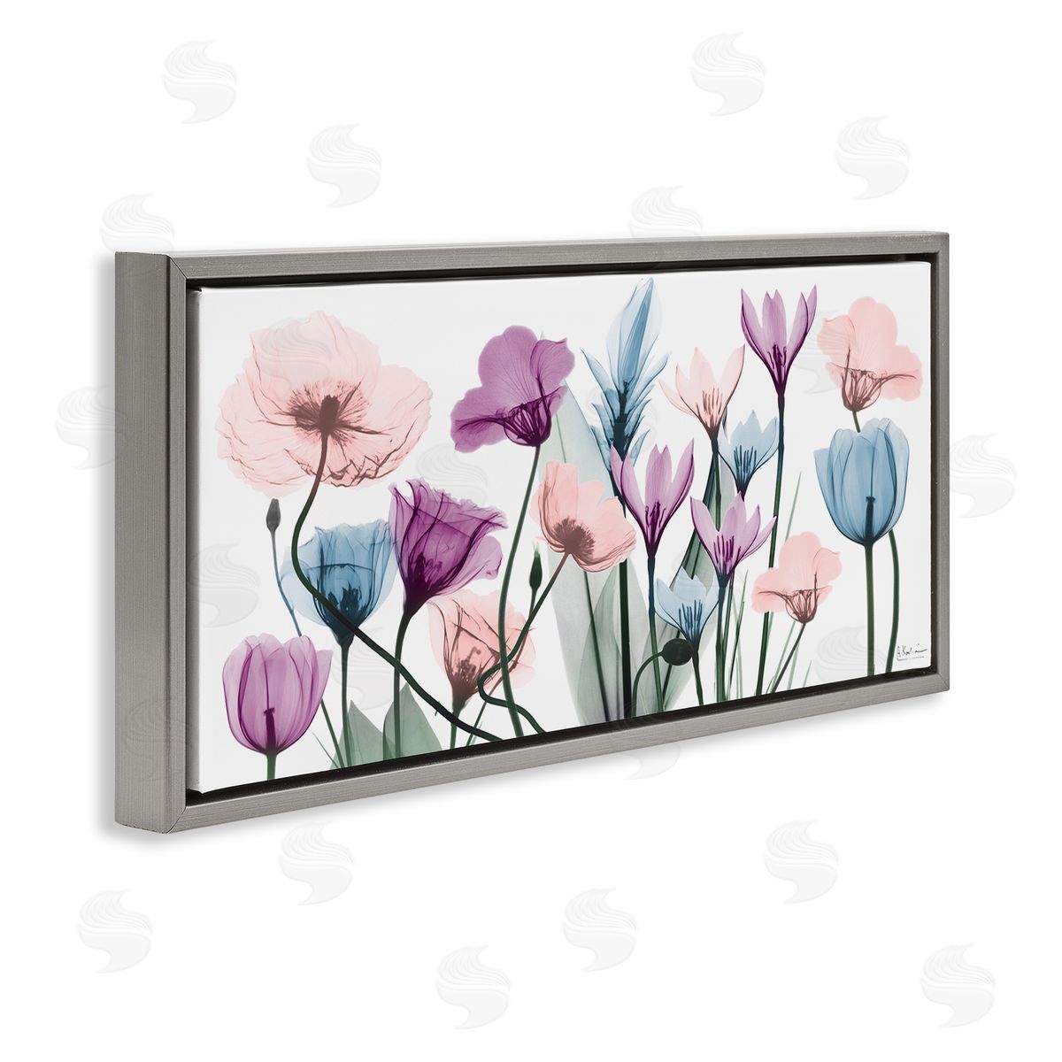 Modern Translucent Pastel Tulips Grey Floating Frame Canvas Wall Art, Home Decor by Albert Koetsier