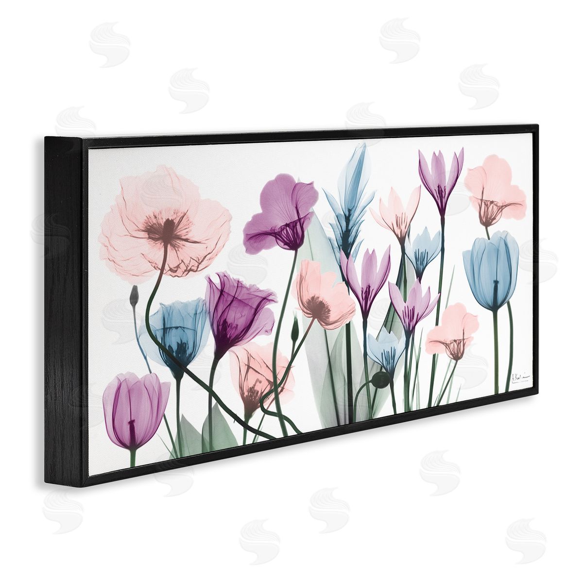 Modern Translucent Pastel Tulips Black Frame Print Wall Art, Home Decor by Albert Koetsier