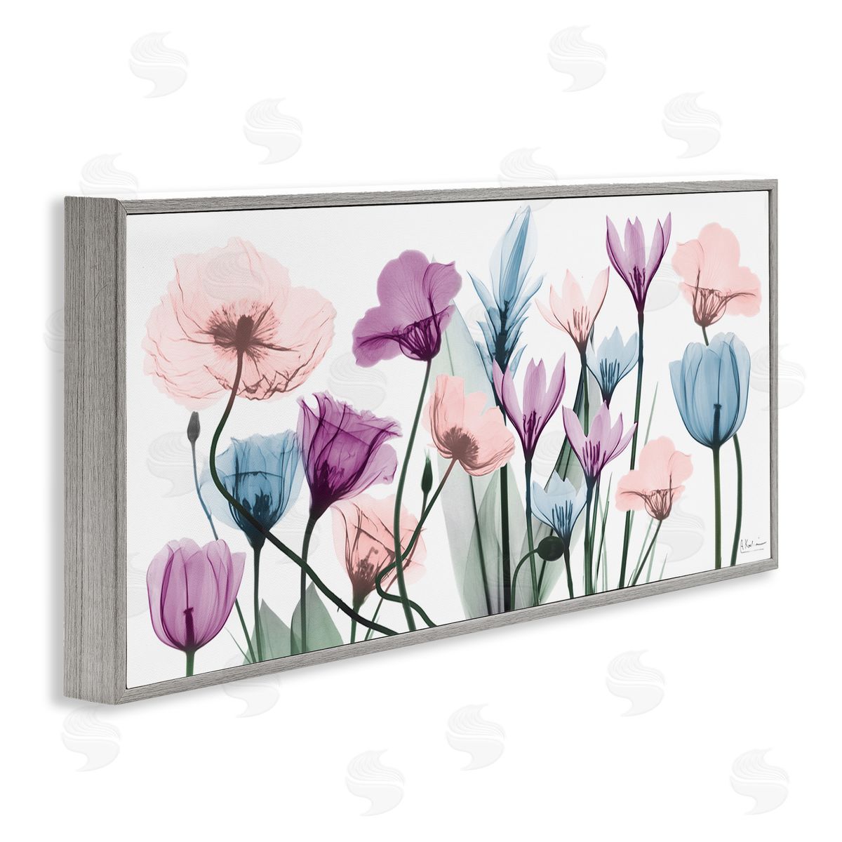 Modern Translucent Pastel Tulips Grey Frame Print Wall Art, Home Decor by Albert Koetsier