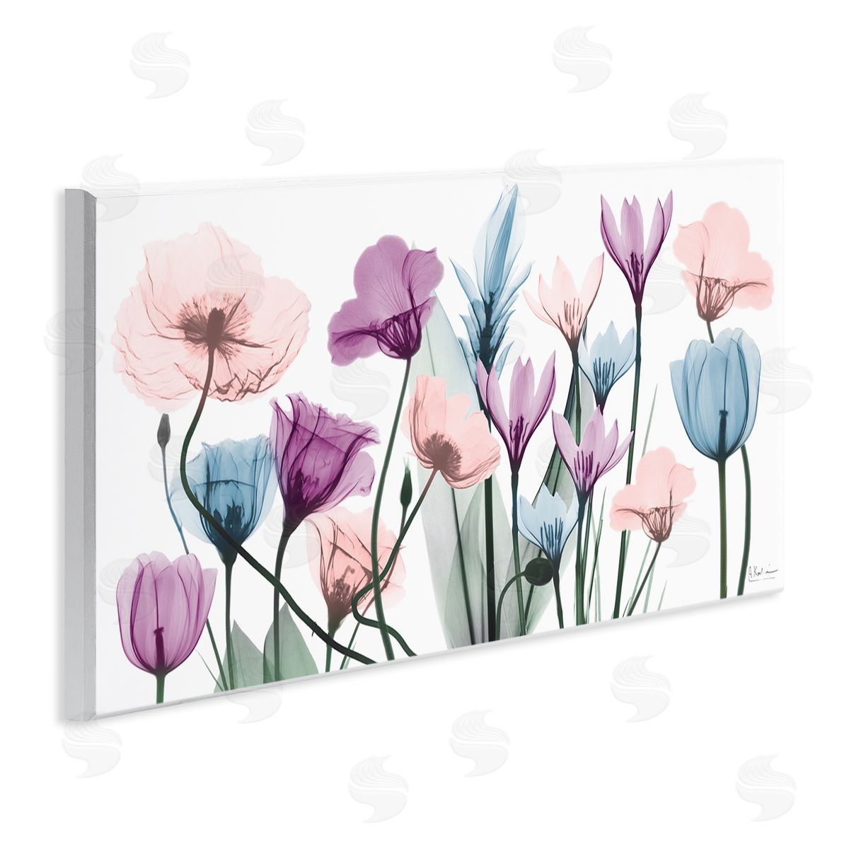 Modern Translucent Pastel Tulips Wood Plaque Wall Art, Home Decor by Albert Koetsier