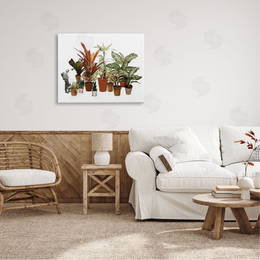 Cassia Beck Varied Terracotta Potted House Plants Floral Person  Canvas Wall Art Print in Room