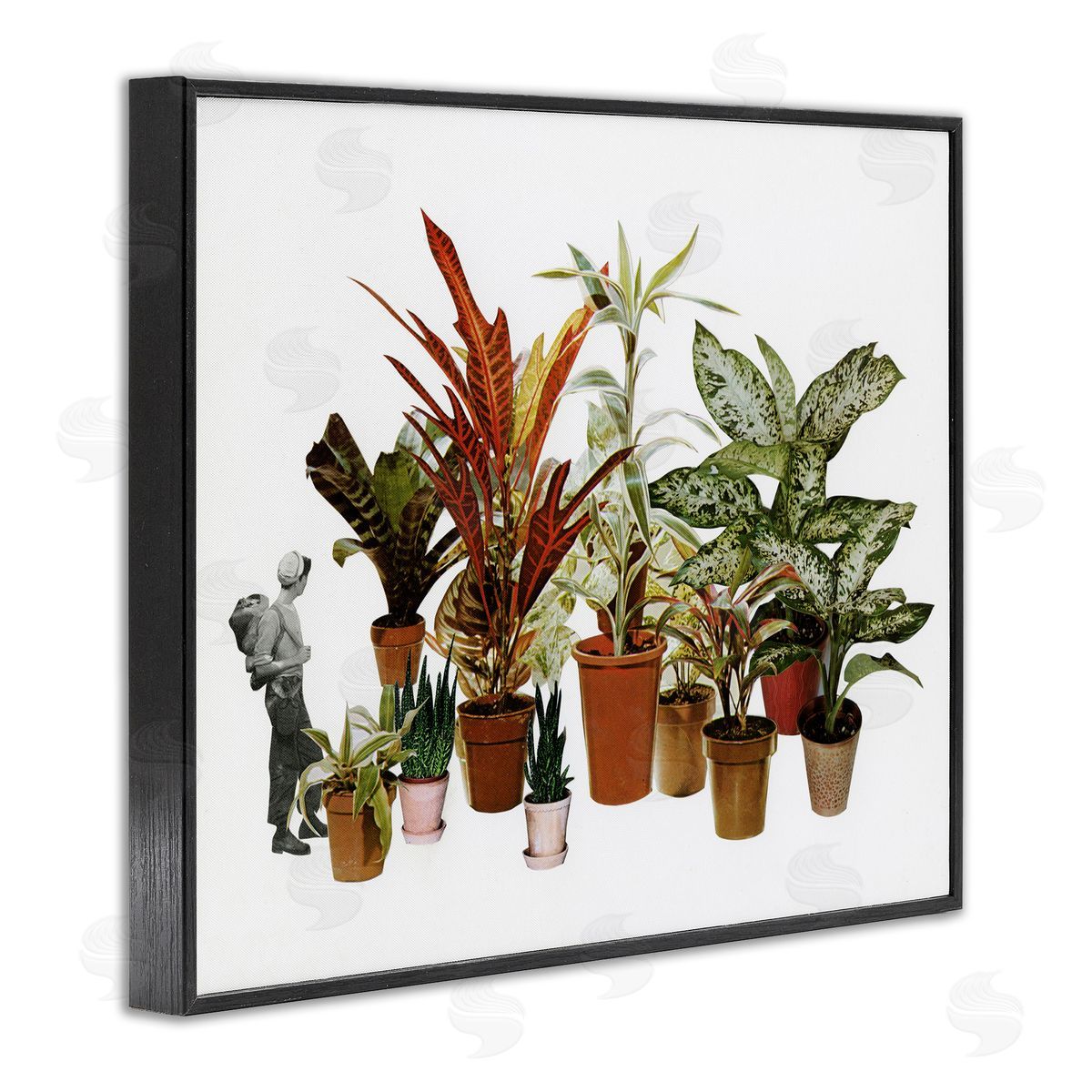 Cassia Beck Varied Terracotta Potted House Plants Floral Person  Black Framed Giclee Wall Art Print