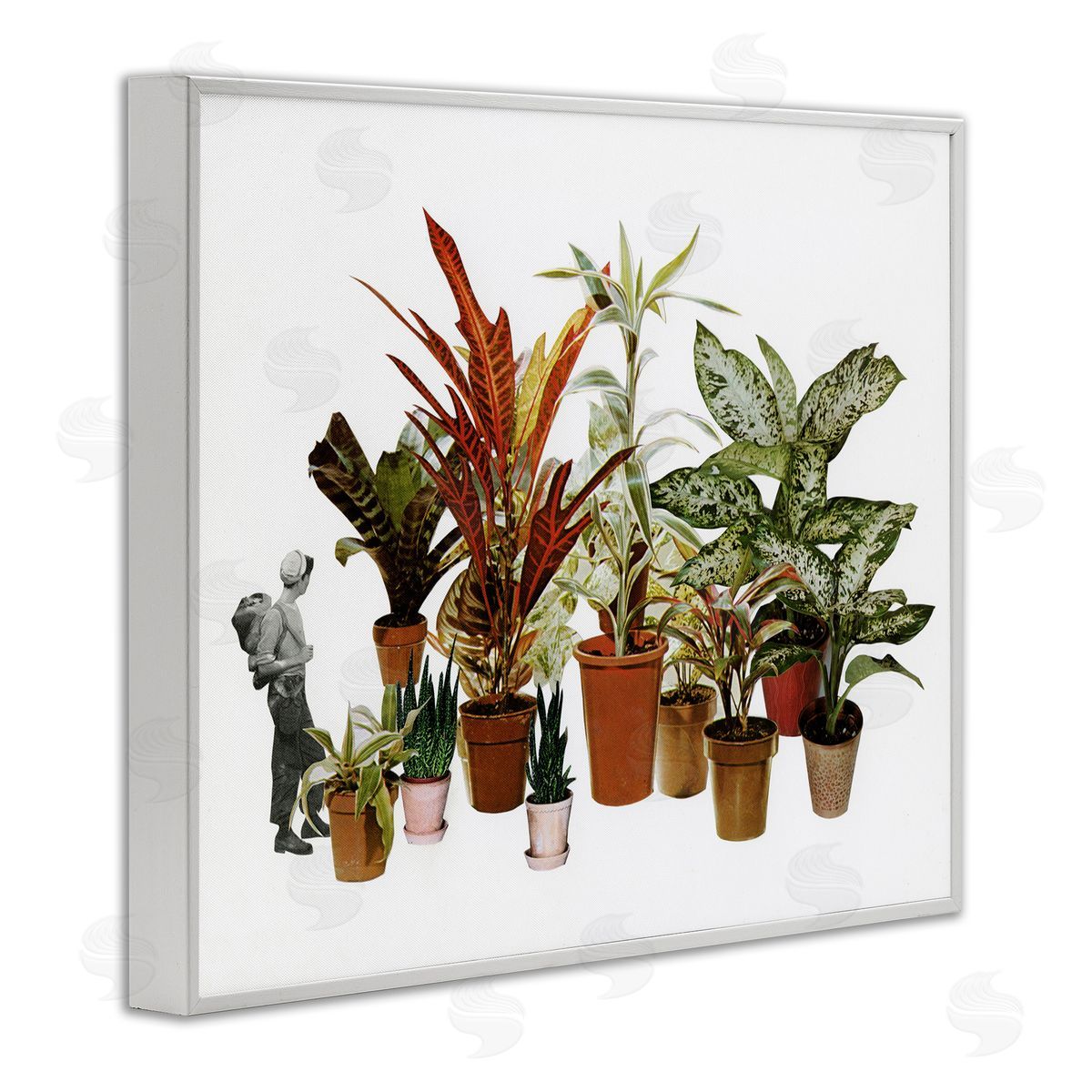 Cassia Beck Varied Terracotta Potted House Plants Floral Person  White Framed Giclee Wall Art Print