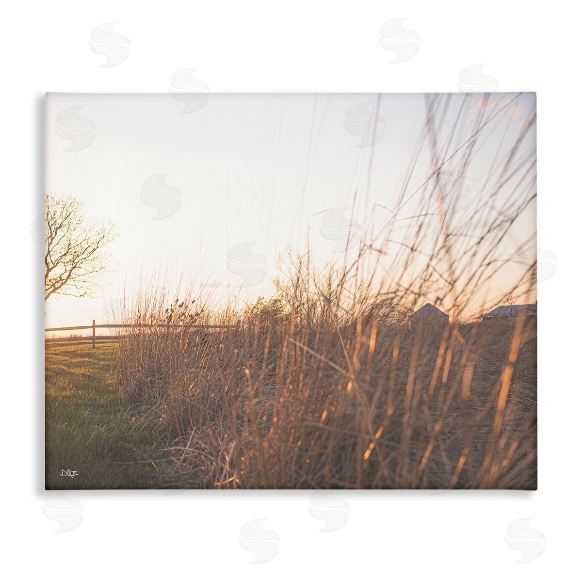 Donnie Quillen Countryside Field Tall Grass Summer Sunshine Rays  Stretched Canvas Wall Art Print