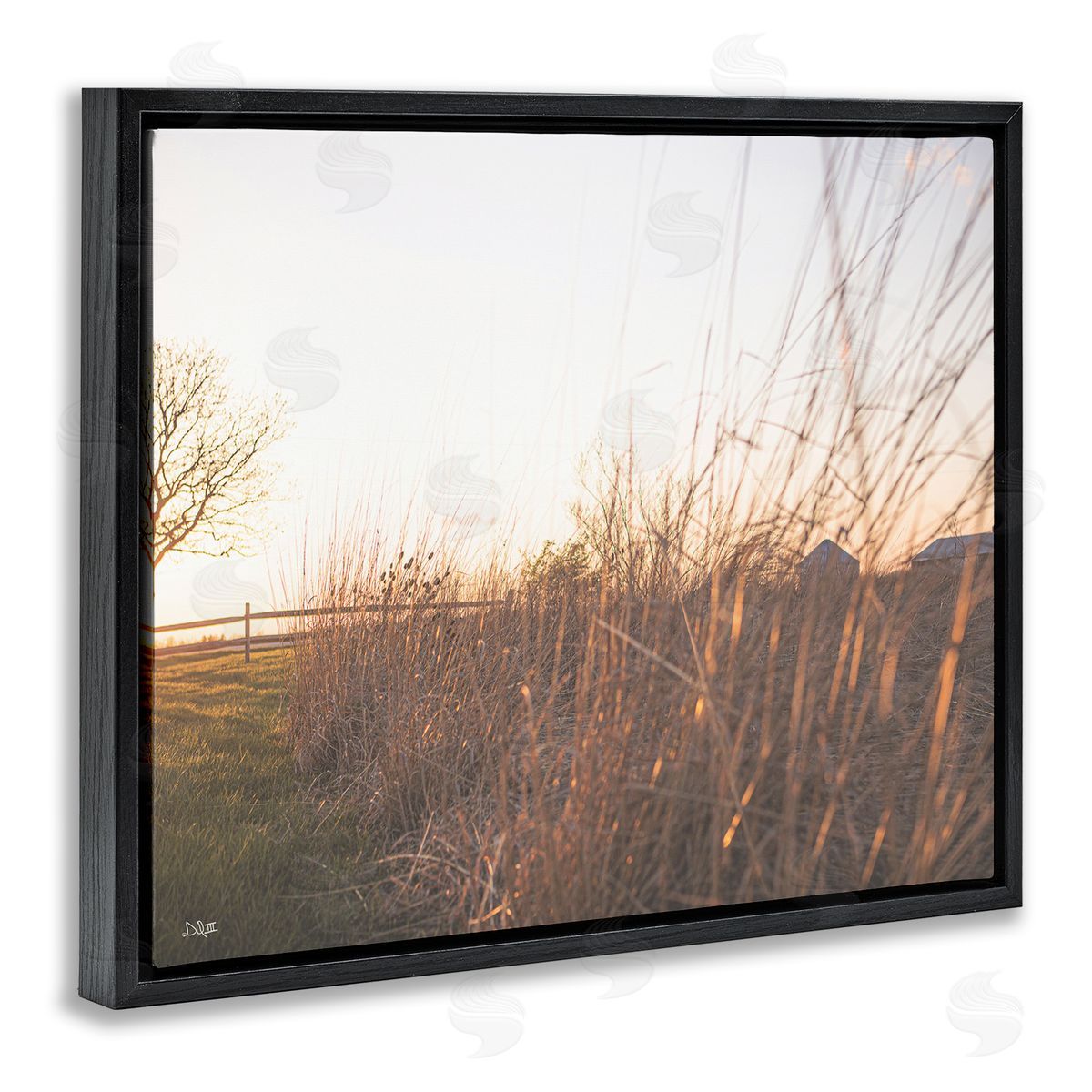 Donnie Quillen Countryside Field Tall Grass Summer Sunshine Rays  Black Floating Frame Canvas Wall Art Print