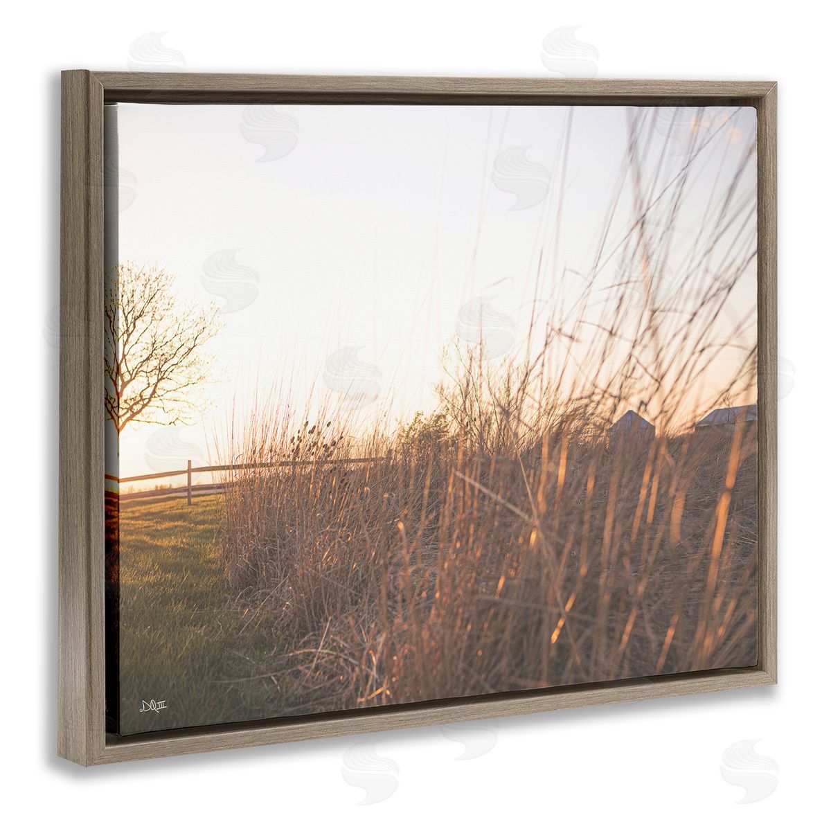 Donnie Quillen Countryside Field Tall Grass Summer Sunshine Rays  Brown Floating Frame Canvas Wall Art Print