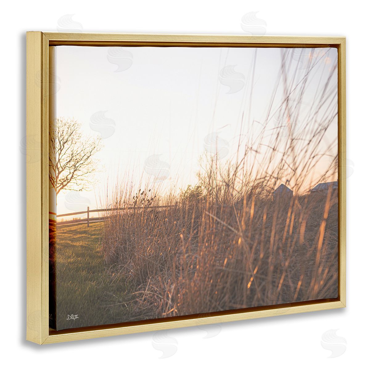 Donnie Quillen Countryside Field Tall Grass Summer Sunshine Rays  Gold Floating Frame Canvas Wall Art Print