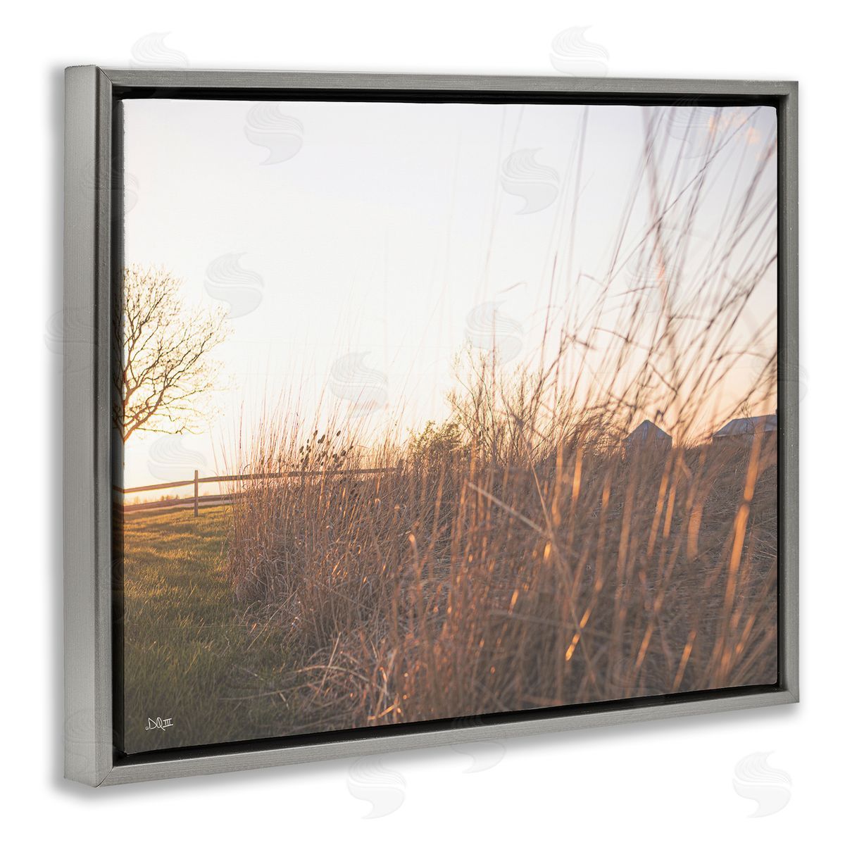 Donnie Quillen Countryside Field Tall Grass Summer Sunshine Rays  Gray Floating Frame Canvas Wall Art Print