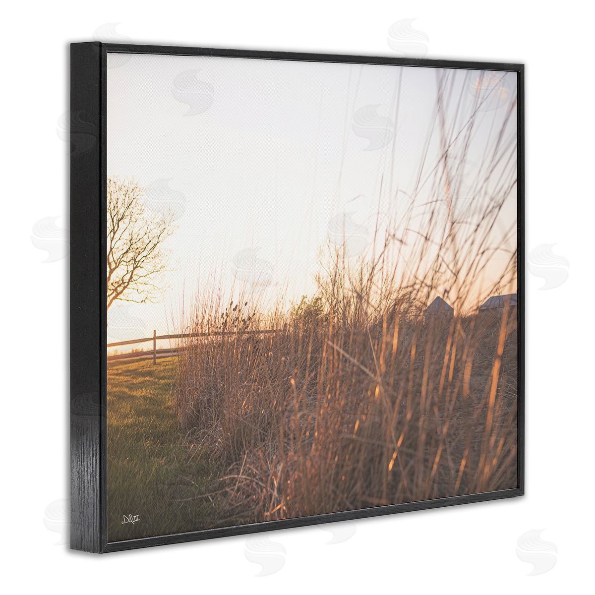 Donnie Quillen Countryside Field Tall Grass Summer Sunshine Rays  Black Framed Giclee Wall Art Print