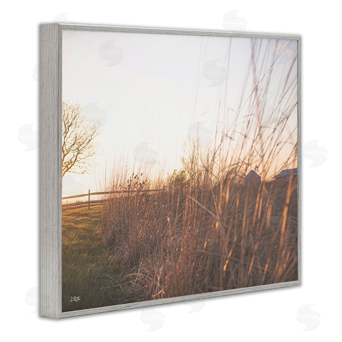 Donnie Quillen Countryside Field Tall Grass Summer Sunshine Rays  Gray Framed Giclee Wall Art Print