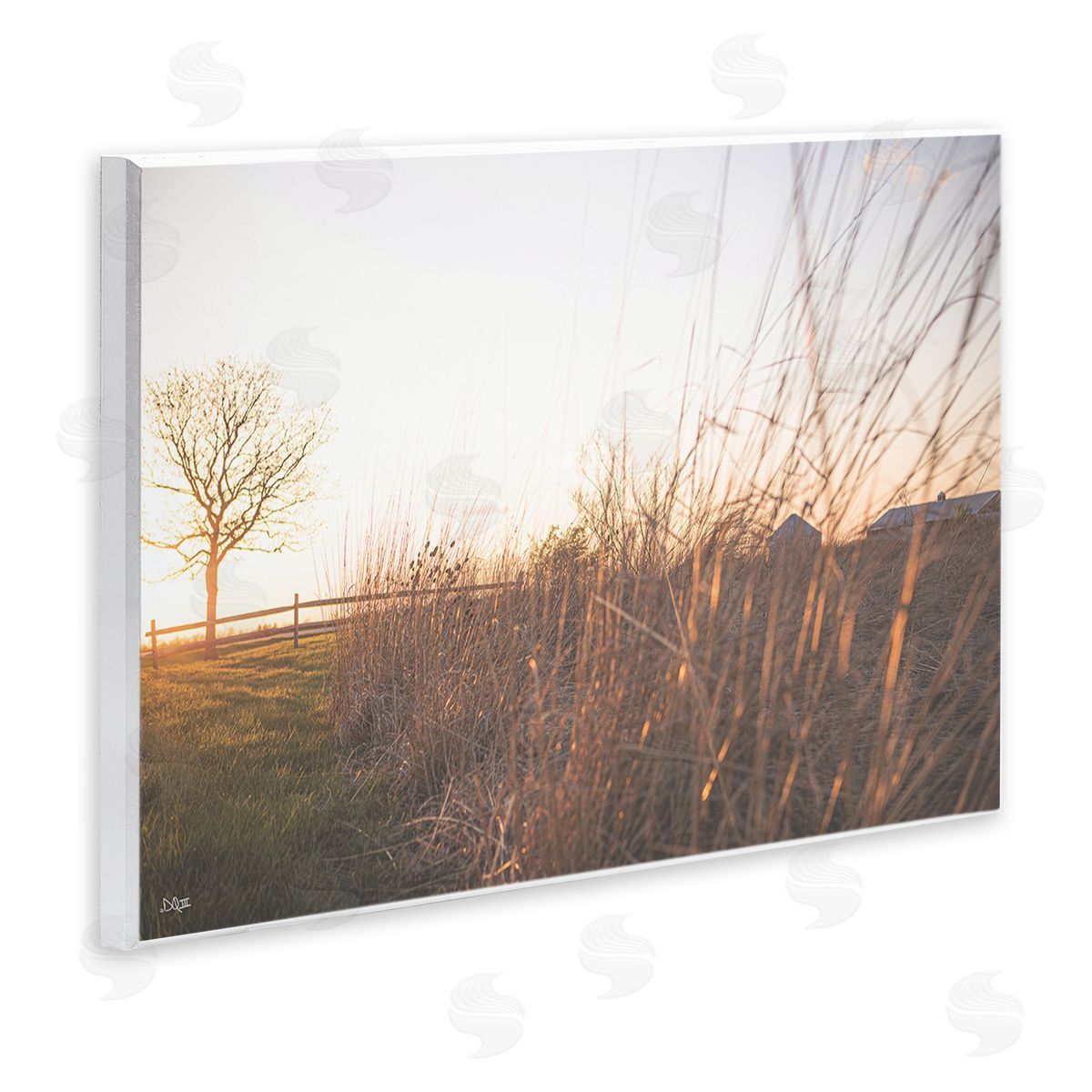 Donnie Quillen Countryside Field Tall Grass Summer Sunshine Rays  Wall Plaque Art Print
