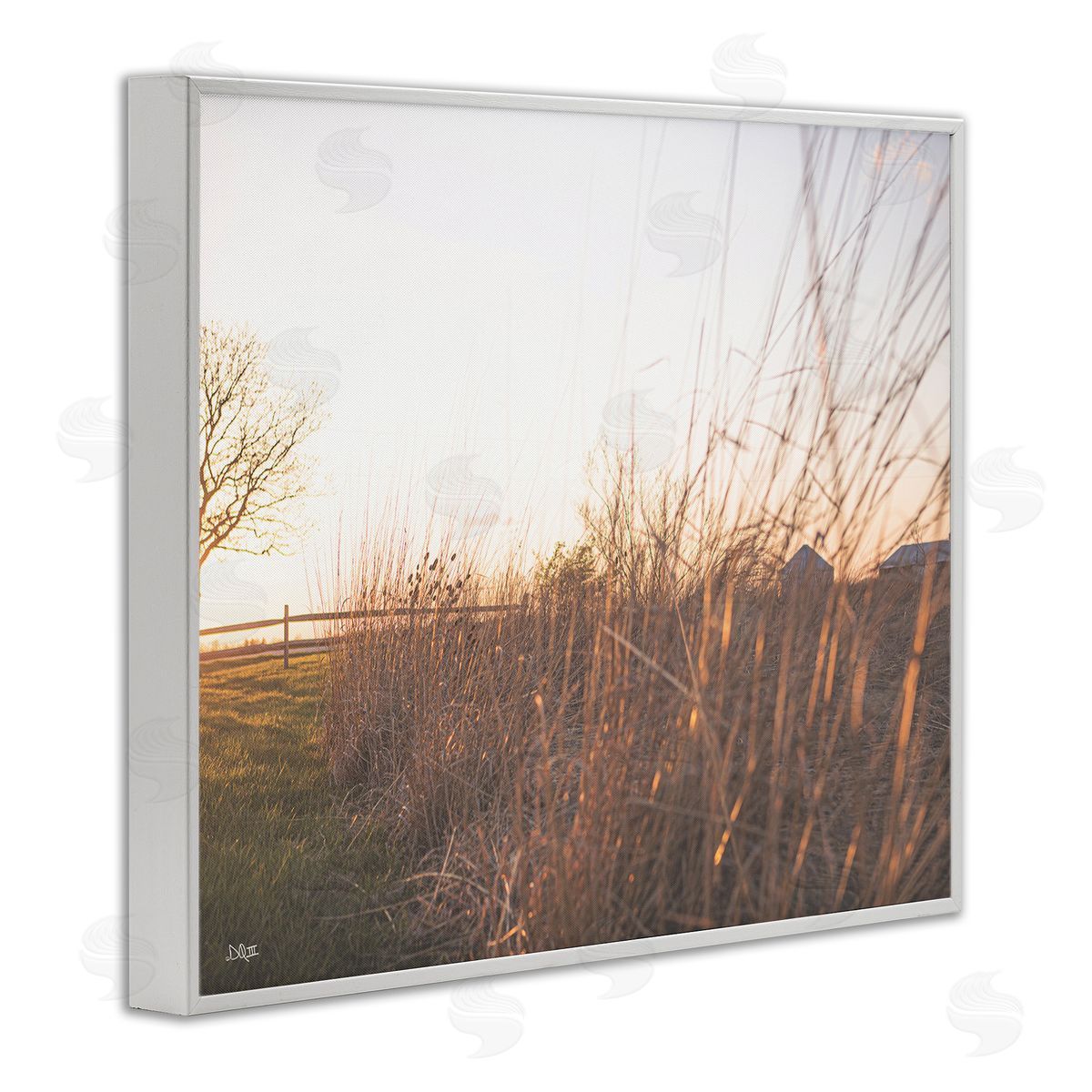 Donnie Quillen Countryside Field Tall Grass Summer Sunshine Rays  White Framed Giclee Wall Art Print