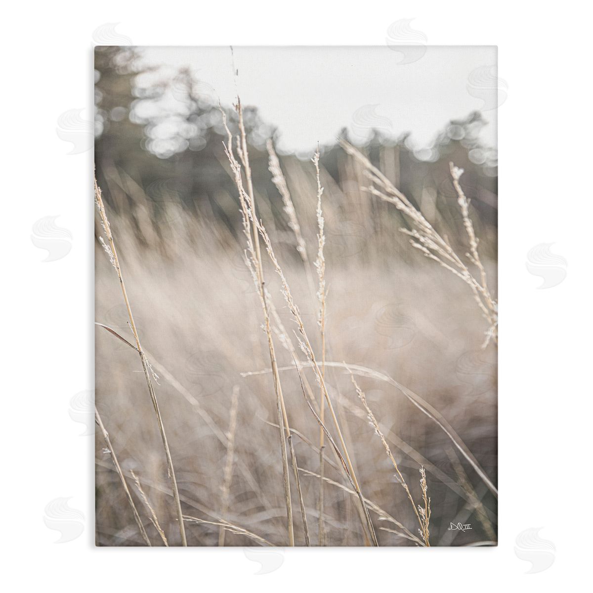 Donnie Quillen Warm Rural Field Tall Grass Countryside Scenery  Stretched Canvas Wall Art Print