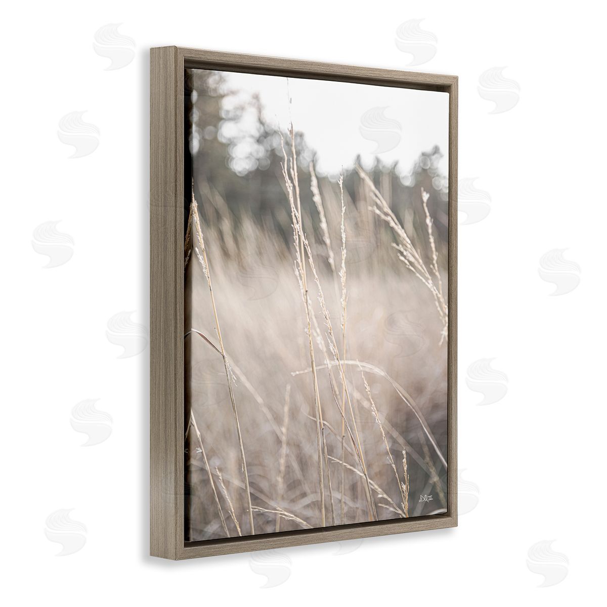 Donnie Quillen Warm Rural Field Tall Grass Countryside Scenery  Brown Floating Frame Canvas Wall Art Print