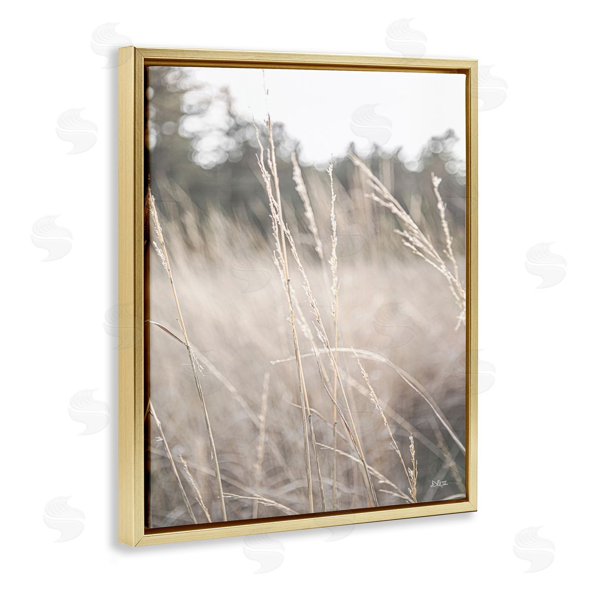 Donnie Quillen Warm Rural Field Tall Grass Countryside Scenery  Gold Floating Frame Canvas Wall Art Print